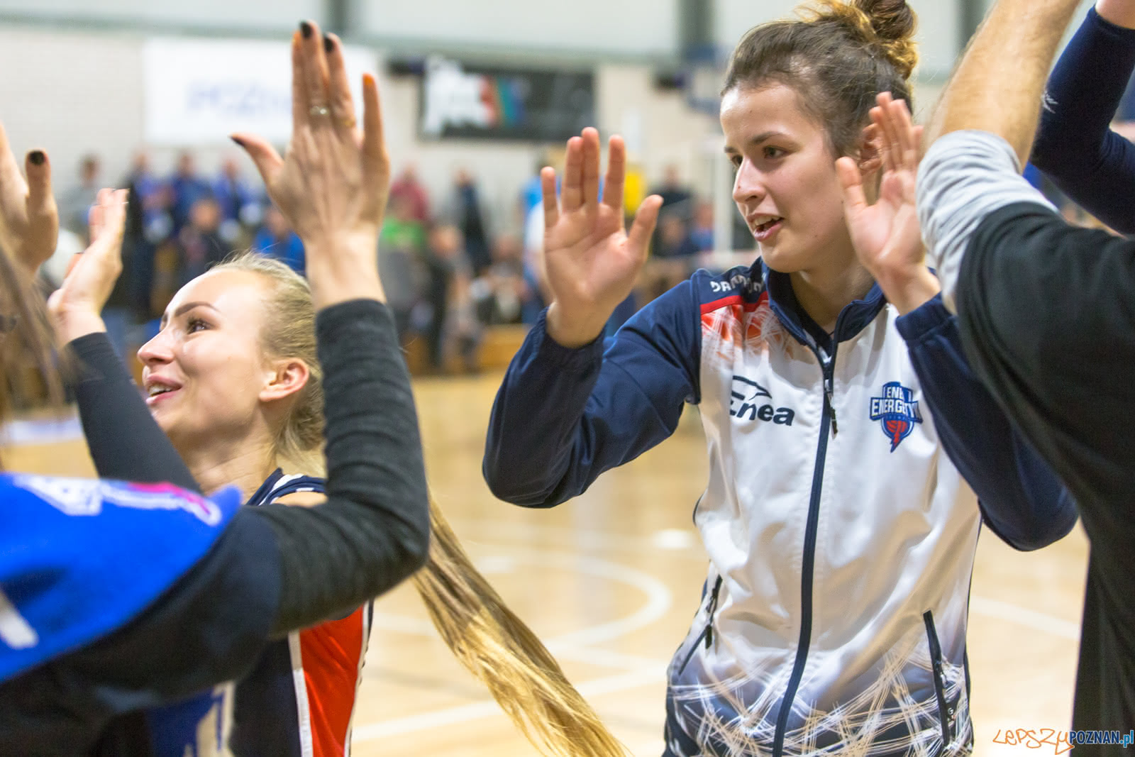 Enea Energetyk Poznań - MKS Dąbrowa Górnicza Foto: lepszyPOZNAN.pl/Piotr Rychter Enea Energetyk Poznań - MKS Dąbrowa Górnicza Foto: lepszyPOZNAN.pl/Piotr Rychter