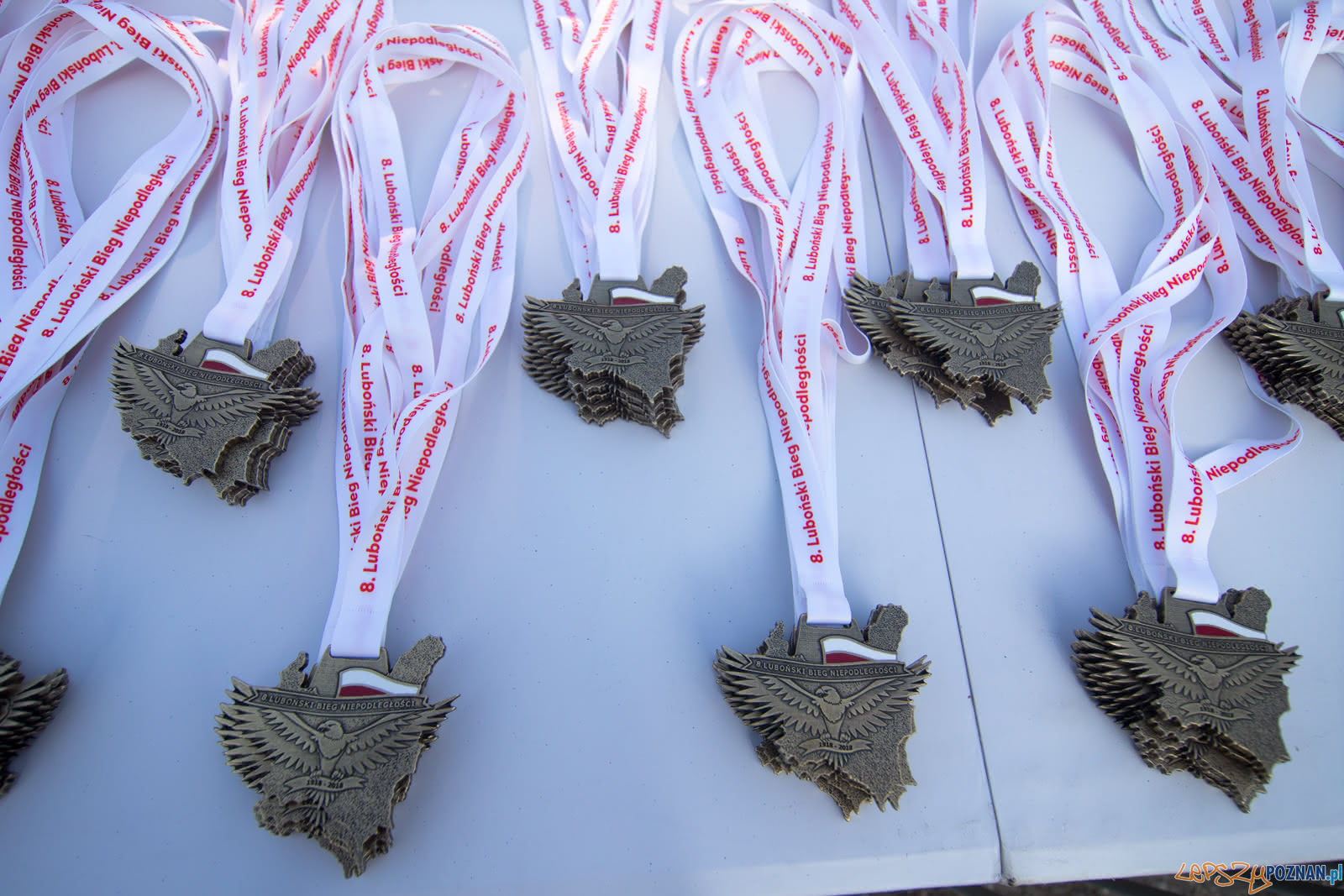 8. Lubonski Bieg Niepodleglosci Foto: lepszyPOZNAN.pl/Piotr Rychter 8. Lubonski Bieg Niepodleglosci Foto: lepszyPOZNAN.pl/Piotr Rychter
