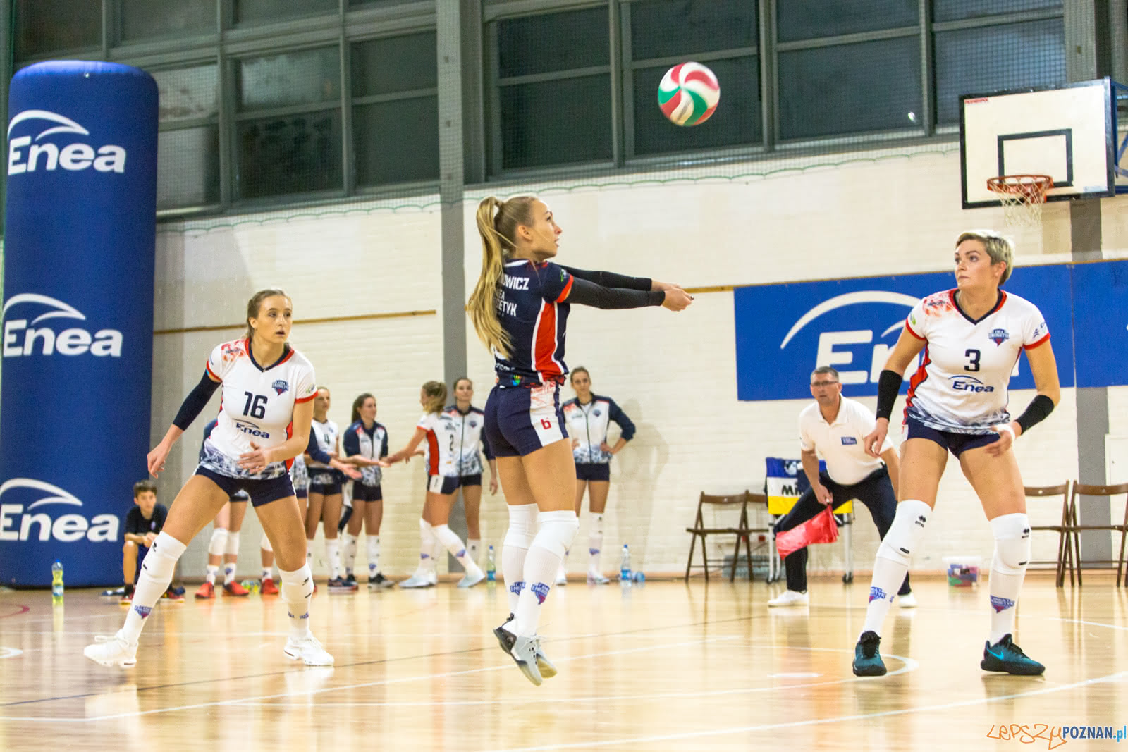 Enea Energetyk Poznań - MKS Dąbrowa Górnicza Foto: lepszyPOZNAN.pl/Piotr Rychter Enea Energetyk Poznań - MKS Dąbrowa Górnicza Foto: lepszyPOZNAN.pl/Piotr Rychter