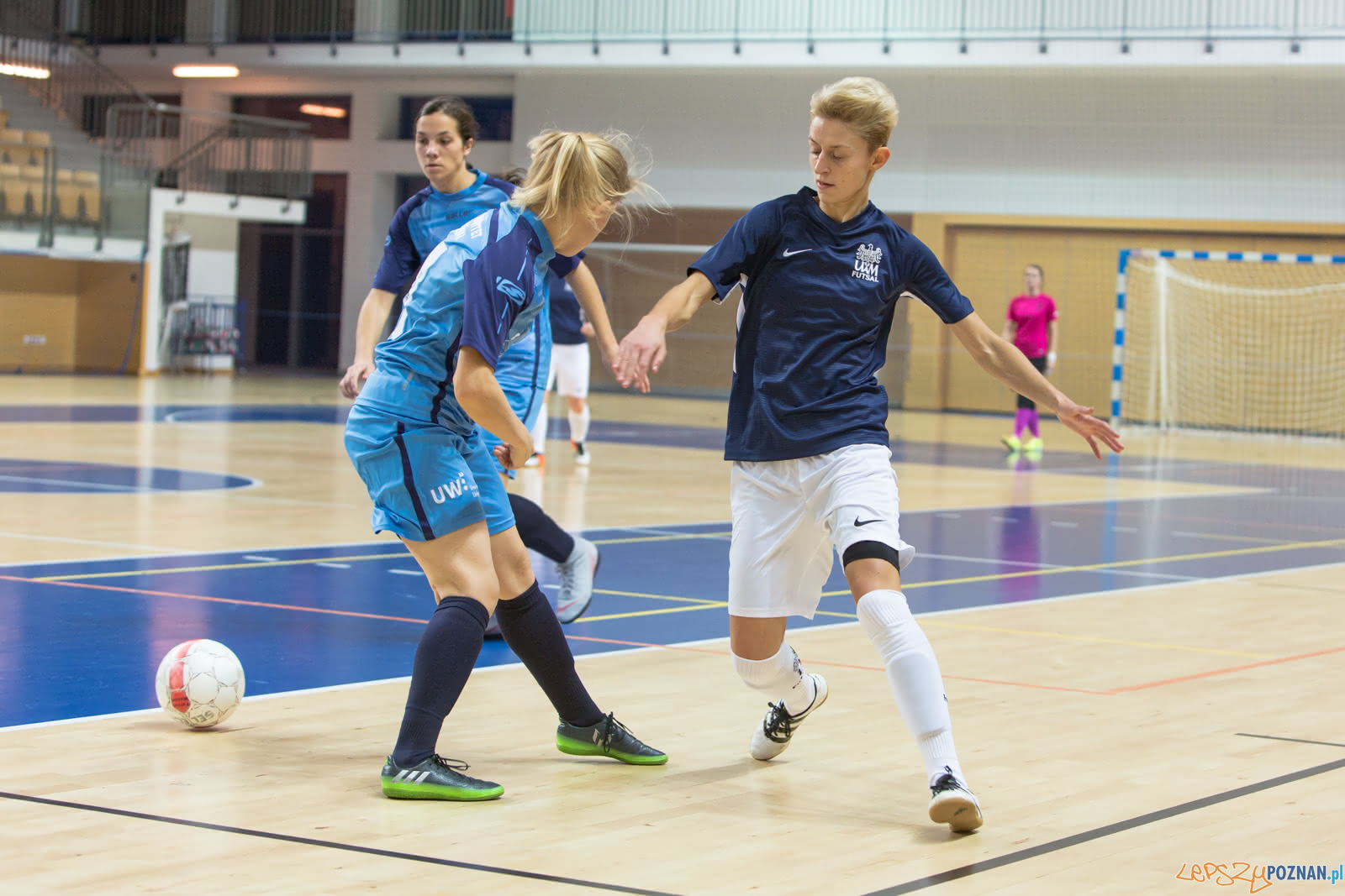AZS UAM Poznań - AZS Uniwersytet Warszawski Foto: lepszyPOZNAN.pl/Piotr Rychter AZS UAM Poznań - AZS Uniwersytet Warszawski Foto: lepszyPOZNAN.pl/Piotr Rychter