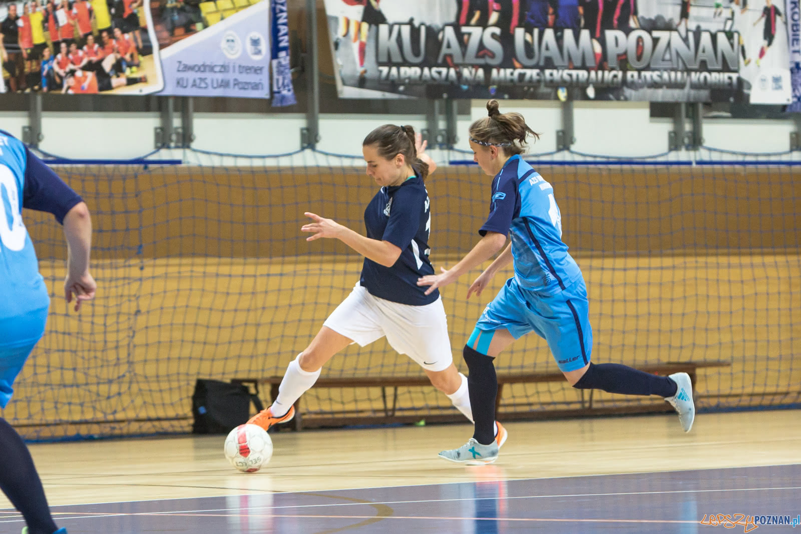 AZS UAM Poznań - AZS Uniwersytet Warszawski Foto: lepszyPOZNAN.pl/Piotr Rychter AZS UAM Poznań - AZS Uniwersytet Warszawski Foto: lepszyPOZNAN.pl/Piotr Rychter