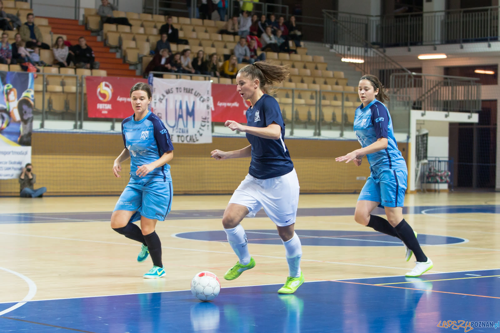 AZS UAM Poznań - AZS Uniwersytet Warszawski Foto: lepszyPOZNAN.pl/Piotr Rychter AZS UAM Poznań - AZS Uniwersytet Warszawski Foto: lepszyPOZNAN.pl/Piotr Rychter