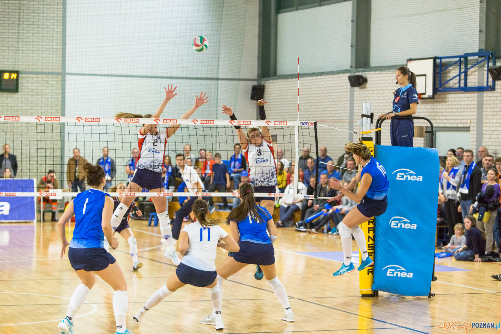 Enea Energetyk Poznań - MKS Dąbrowa Górnicza Foto: lepszyPOZNAN.pl/Piotr Rychter Enea Energetyk Poznań - MKS Dąbrowa Górnicza Foto: lepszyPOZNAN.pl/Piotr Rychter