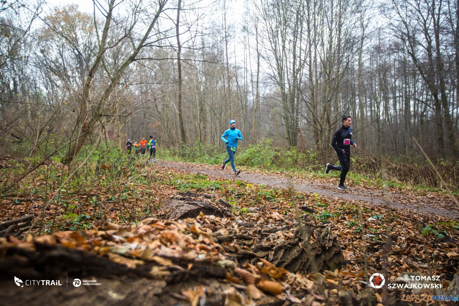 City Trail - bieanie nad Rusałką Foto: Tomasz Szwejkowski / City Trail / materiały prasowe City Trail - bieanie nad Rusałką Foto: Tomasz Szwejkowski / City Trail / materiały prasowe