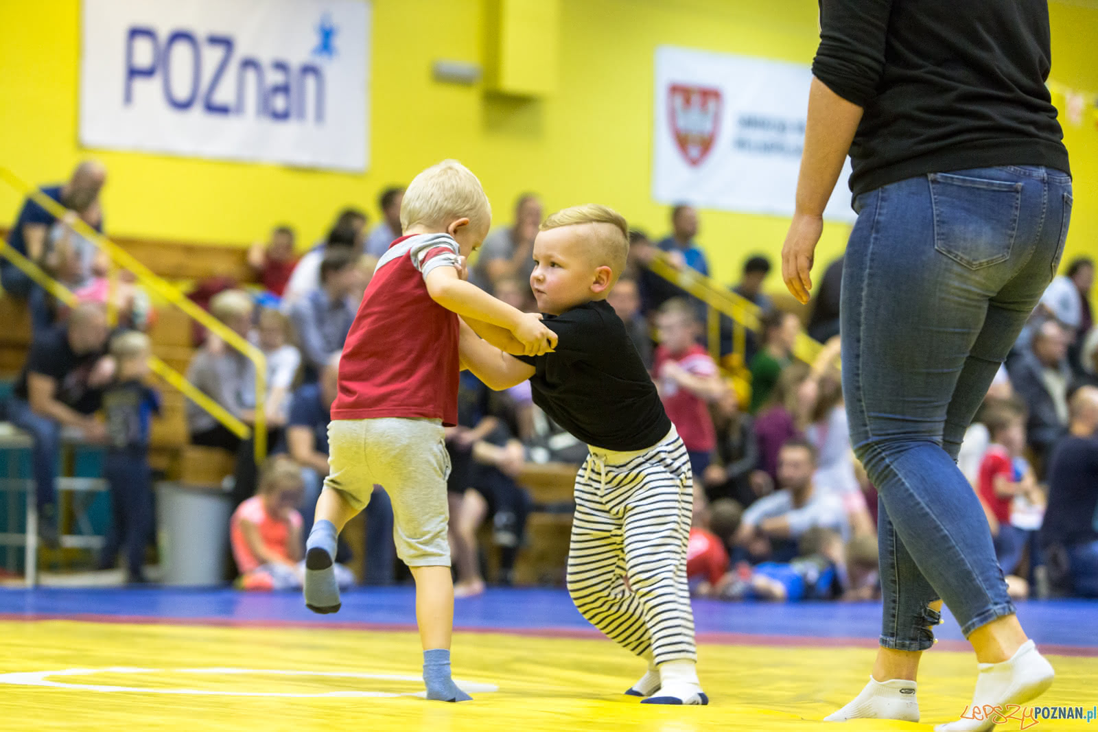 Turniej W Mocowaniu Dla Dzieci Foto: lepszyPOZNAN.pl/Piotr Rychter Turniej W Mocowaniu Dla Dzieci Foto: lepszyPOZNAN.pl/Piotr Rychter