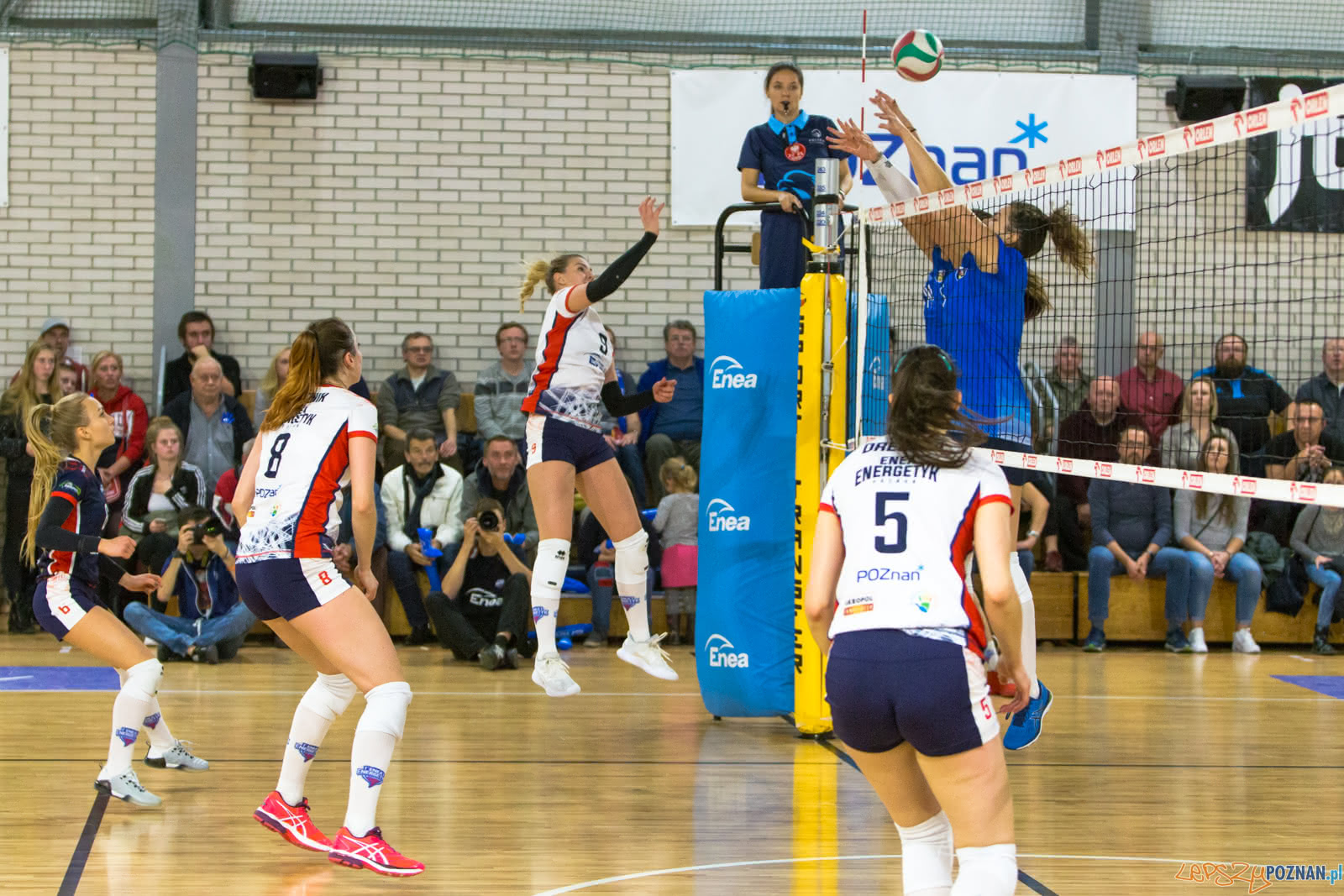 Enea Energetyk Poznań - MKS Dąbrowa Górnicza Foto: lepszyPOZNAN.pl/Piotr Rychter Enea Energetyk Poznań - MKS Dąbrowa Górnicza Foto: lepszyPOZNAN.pl/Piotr Rychter