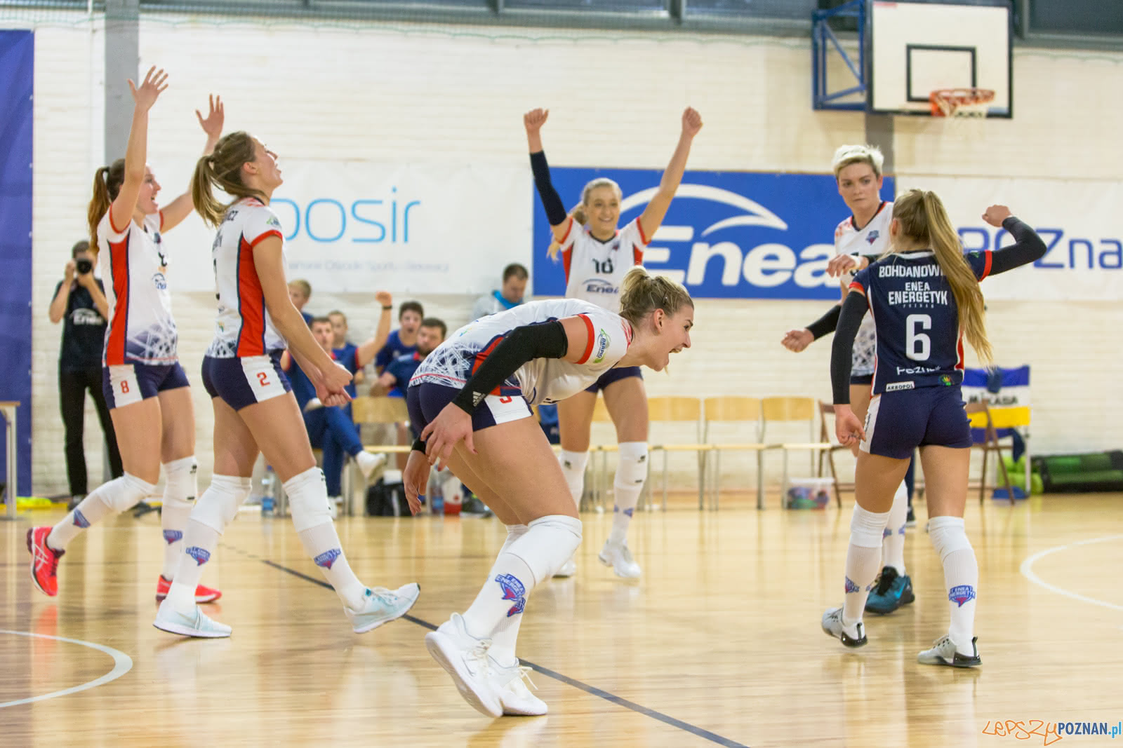 Enea Energetyk Poznań - MKS Dąbrowa Górnicza Foto: lepszyPOZNAN.pl/Piotr Rychter Enea Energetyk Poznań - MKS Dąbrowa Górnicza Foto: lepszyPOZNAN.pl/Piotr Rychter