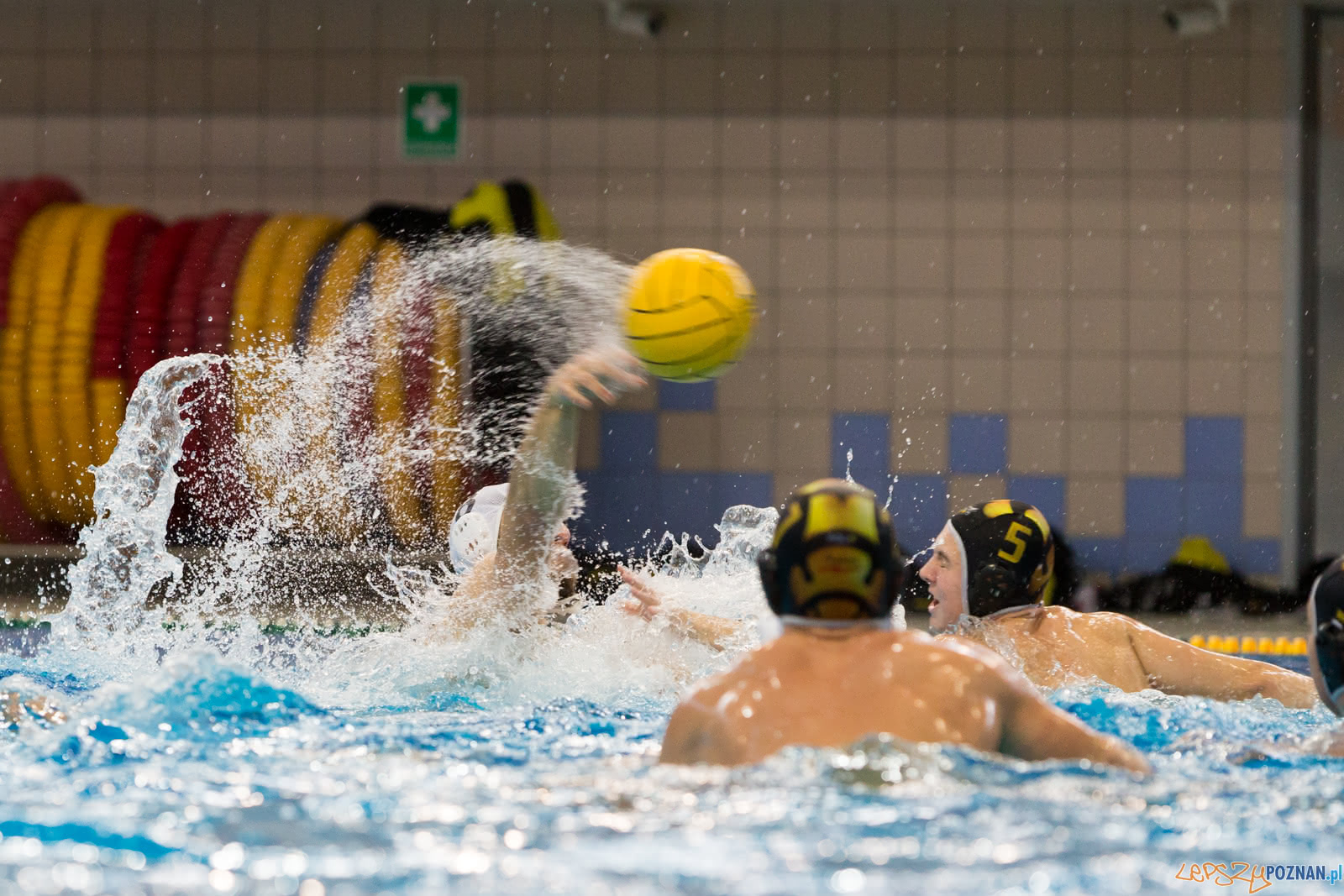 Malta Waterpolo Cup Foto: lepszyPOZNAN.pl/Piotr Rychter Malta Waterpolo Cup Foto: lepszyPOZNAN.pl/Piotr Rychter