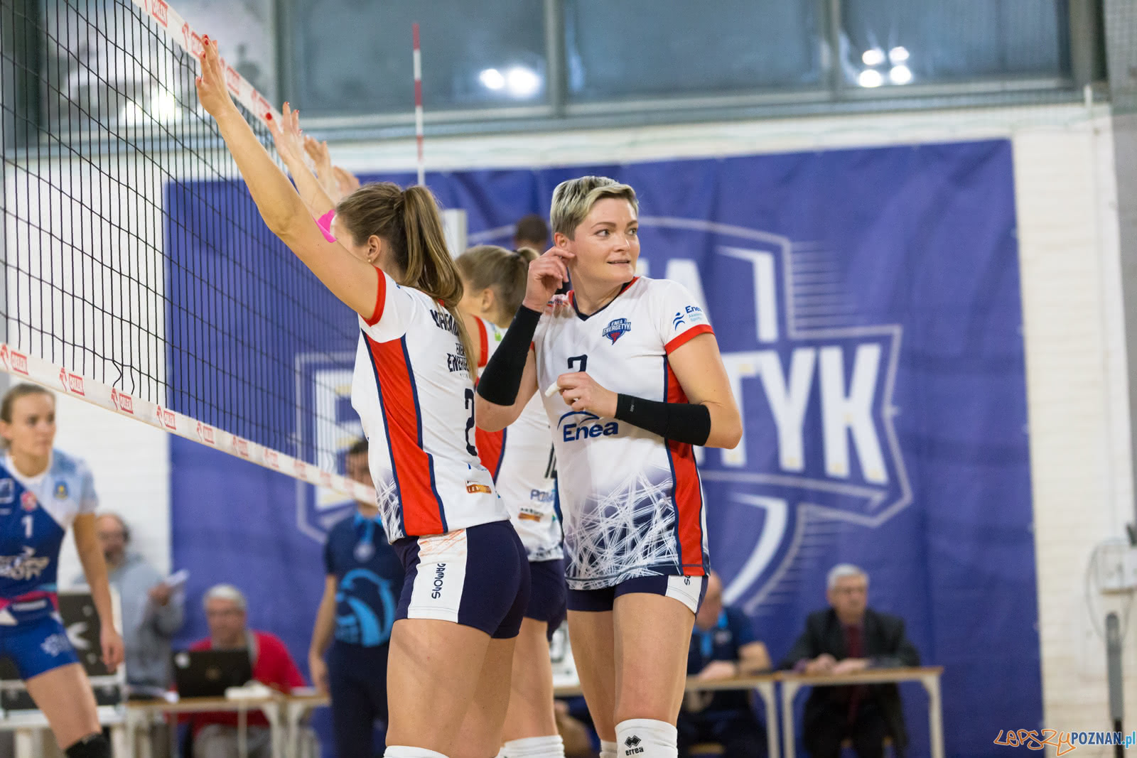 Enea Energetyk Poznań - Grupa Azoty PWSZ Tarnów Foto: lepszyPOZNAN.pl/Piotr Rychter Enea Energetyk Poznań - Grupa Azoty PWSZ Tarnów Foto: lepszyPOZNAN.pl/Piotr Rychter