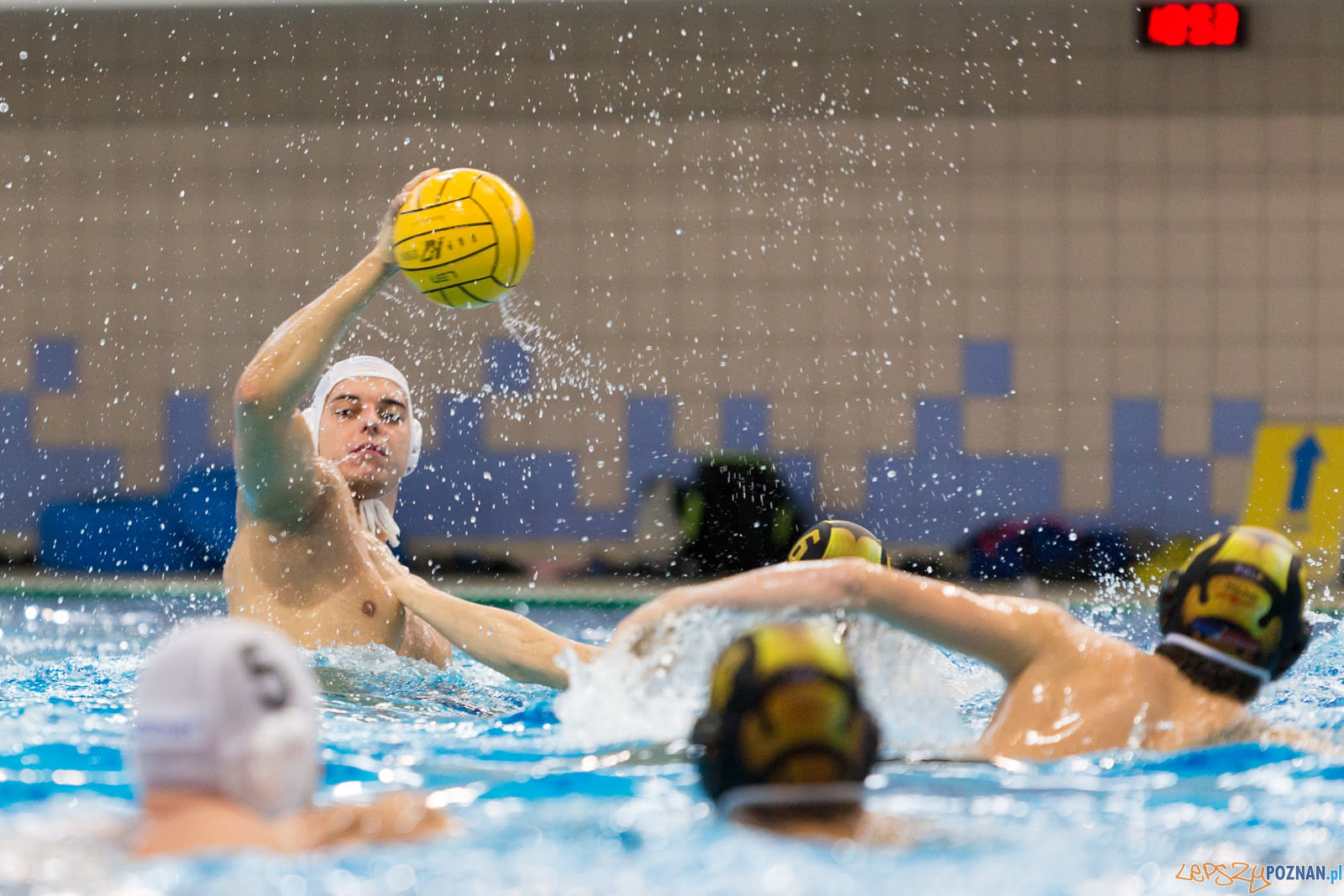 Malta Waterpolo Cup Foto: lepszyPOZNAN.pl/Piotr Rychter Malta Waterpolo Cup Foto: lepszyPOZNAN.pl/Piotr Rychter