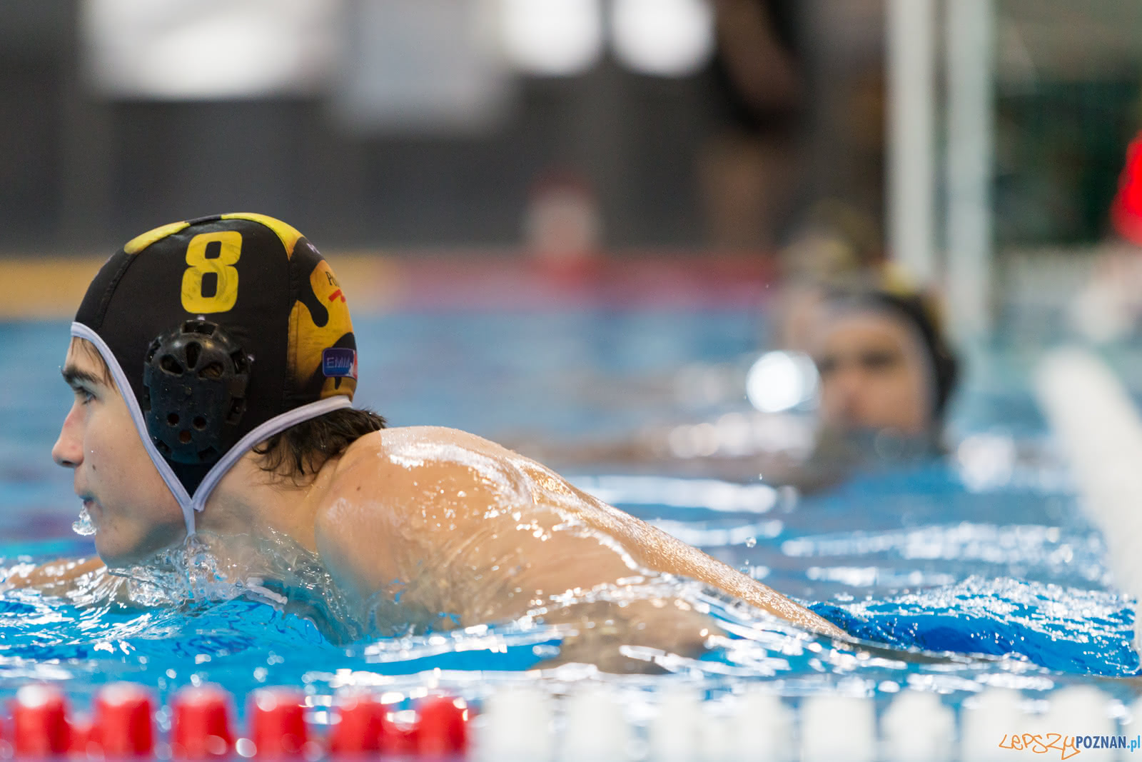 Malta Waterpolo Cup Foto: lepszyPOZNAN.pl/Piotr Rychter Malta Waterpolo Cup Foto: lepszyPOZNAN.pl/Piotr Rychter