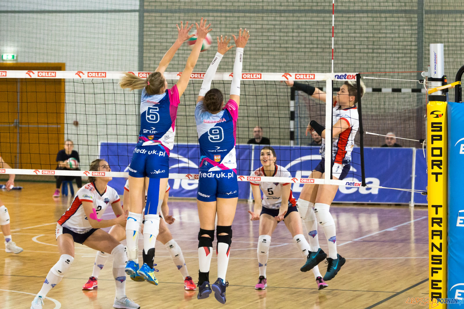 Enea Energetyk Poznań - Grupa Azoty PWSZ Tarnów Foto: lepszyPOZNAN.pl/Piotr Rychter Enea Energetyk Poznań - Grupa Azoty PWSZ Tarnów Foto: lepszyPOZNAN.pl/Piotr Rychter