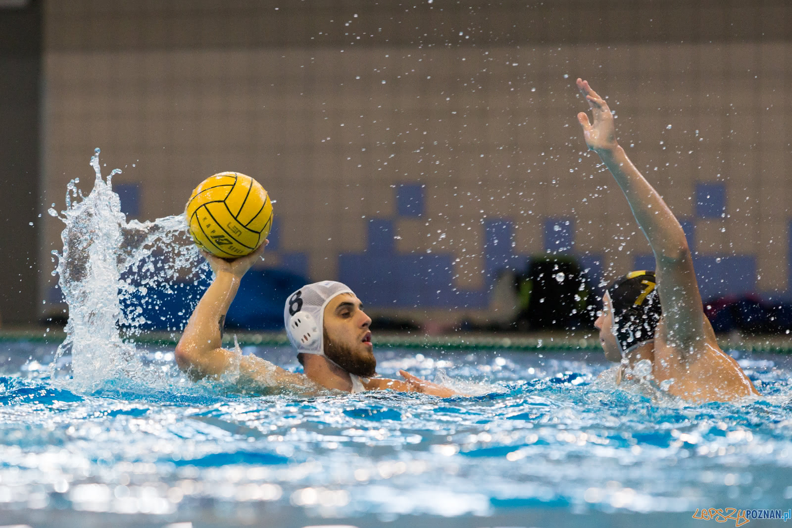 Malta Waterpolo Cup Foto: lepszyPOZNAN.pl/Piotr Rychter Malta Waterpolo Cup Foto: lepszyPOZNAN.pl/Piotr Rychter