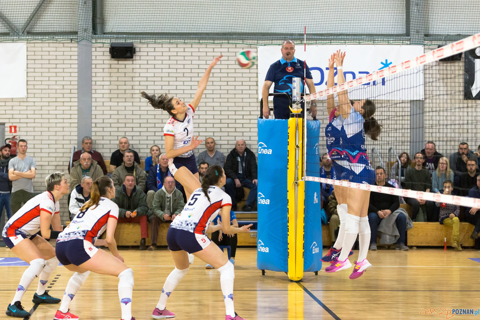 Enea Energetyk Poznań - Grupa Azoty PWSZ Tarnów Foto: lepszyPOZNAN.pl/Piotr Rychter Enea Energetyk Poznań - Grupa Azoty PWSZ Tarnów Foto: lepszyPOZNAN.pl/Piotr Rychter