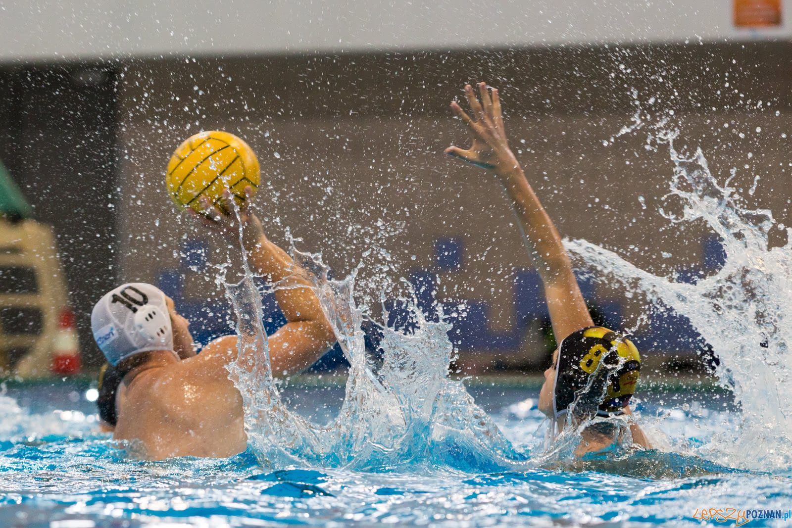 Malta Waterpolo Cup Foto: lepszyPOZNAN.pl/Piotr Rychter Malta Waterpolo Cup Foto: lepszyPOZNAN.pl/Piotr Rychter