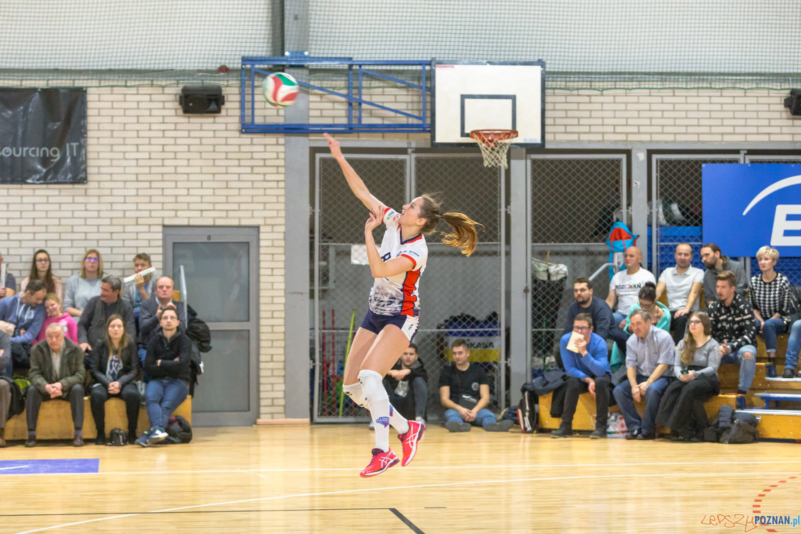 Enea Energetyk Poznań - Grupa Azoty PWSZ Tarnów Foto: lepszyPOZNAN.pl/Piotr Rychter Enea Energetyk Poznań - Grupa Azoty PWSZ Tarnów Foto: lepszyPOZNAN.pl/Piotr Rychter