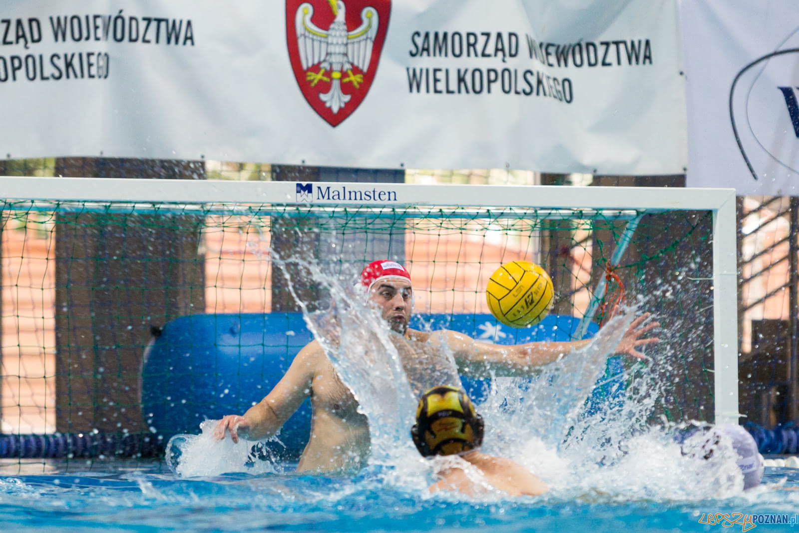 Malta Waterpolo Cup Foto: lepszyPOZNAN.pl/Piotr Rychter Malta Waterpolo Cup Foto: lepszyPOZNAN.pl/Piotr Rychter