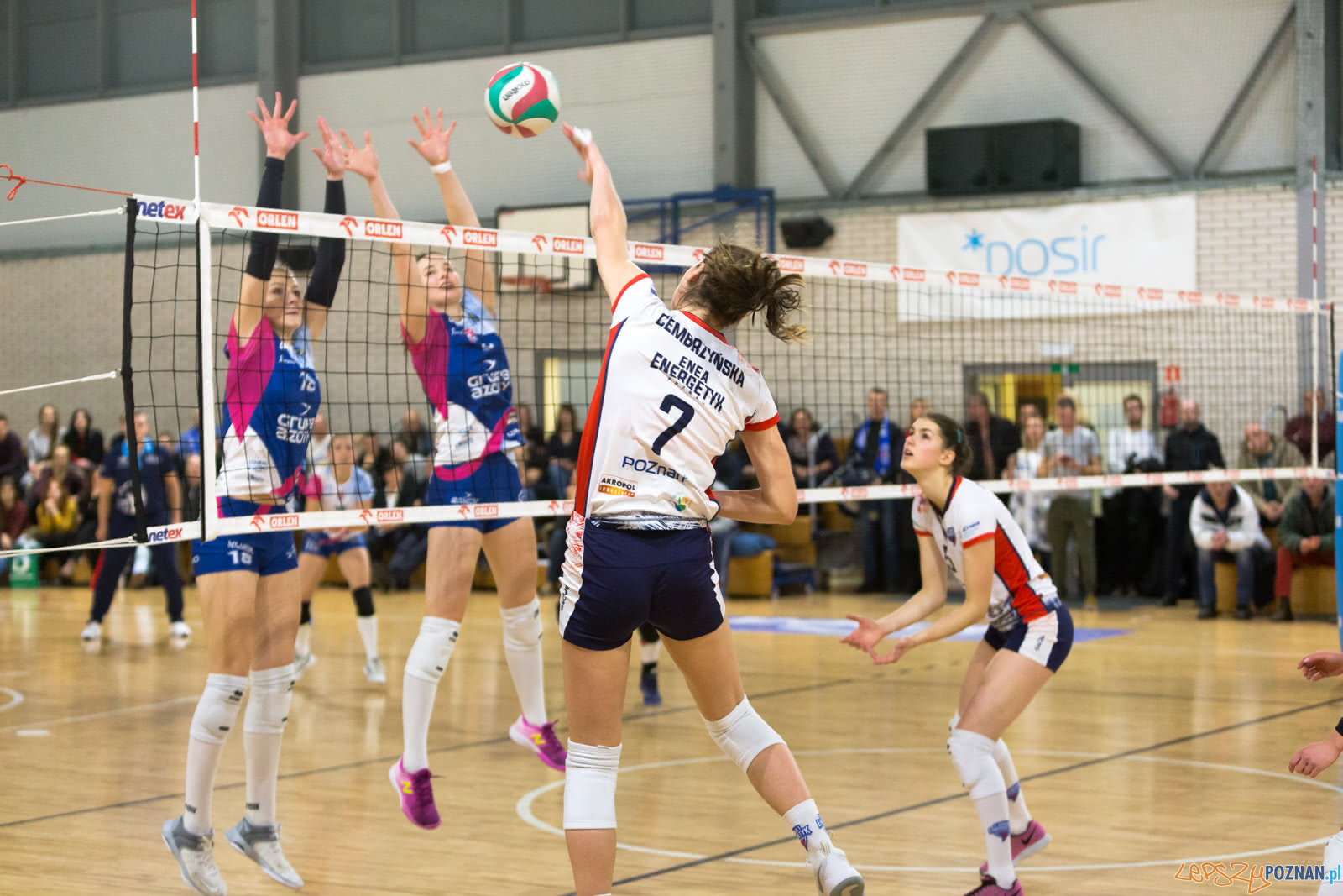 Enea Energetyk Poznań - Grupa Azoty PWSZ Tarnów Foto: lepszyPOZNAN.pl/Piotr Rychter Enea Energetyk Poznań - Grupa Azoty PWSZ Tarnów Foto: lepszyPOZNAN.pl/Piotr Rychter