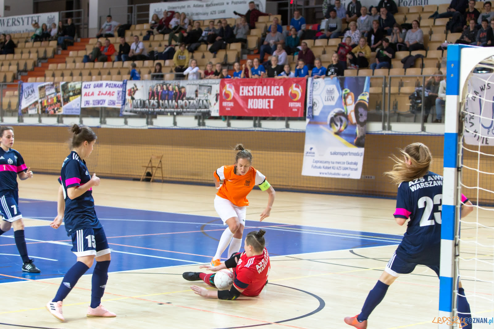 KU AZS UAM Poznań – AZS AWF Warszawa Foto: lepszyPOZNAN.pl/Piotr Rychter KU AZS UAM Poznań – AZS AWF Warszawa Foto: lepszyPOZNAN.pl/Piotr Rychter