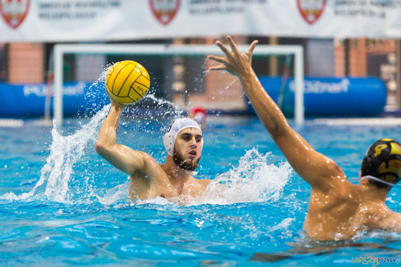 Malta Waterpolo Cup Foto: lepszyPOZNAN.pl/Piotr Rychter Malta Waterpolo Cup Foto: lepszyPOZNAN.pl/Piotr Rychter