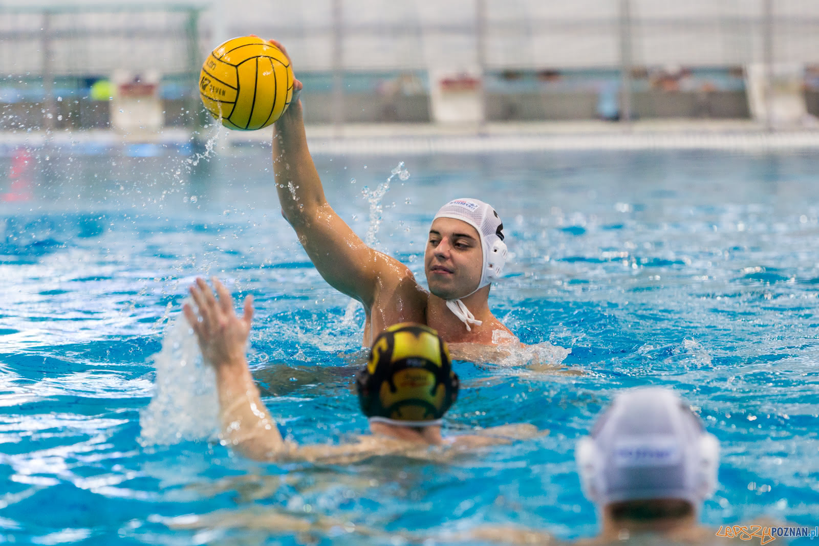 Malta Waterpolo Cup Foto: lepszyPOZNAN.pl/Piotr Rychter Malta Waterpolo Cup Foto: lepszyPOZNAN.pl/Piotr Rychter