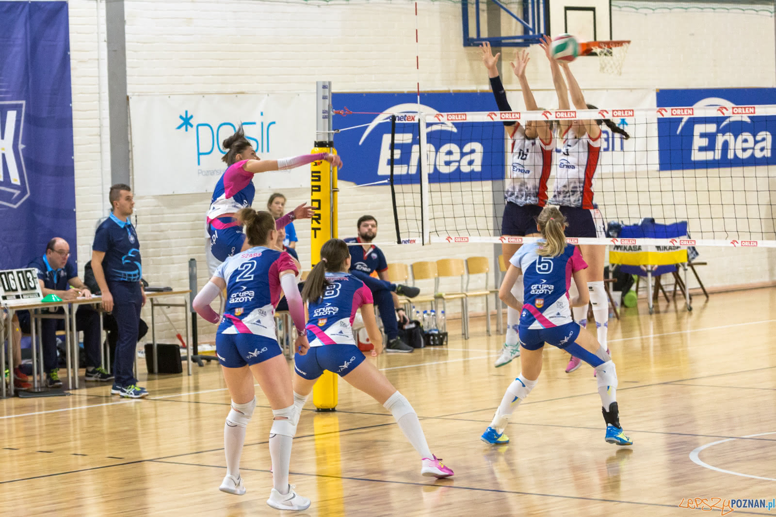 Enea Energetyk Poznań - Grupa Azoty PWSZ Tarnów Foto: lepszyPOZNAN.pl/Piotr Rychter Enea Energetyk Poznań - Grupa Azoty PWSZ Tarnów Foto: lepszyPOZNAN.pl/Piotr Rychter