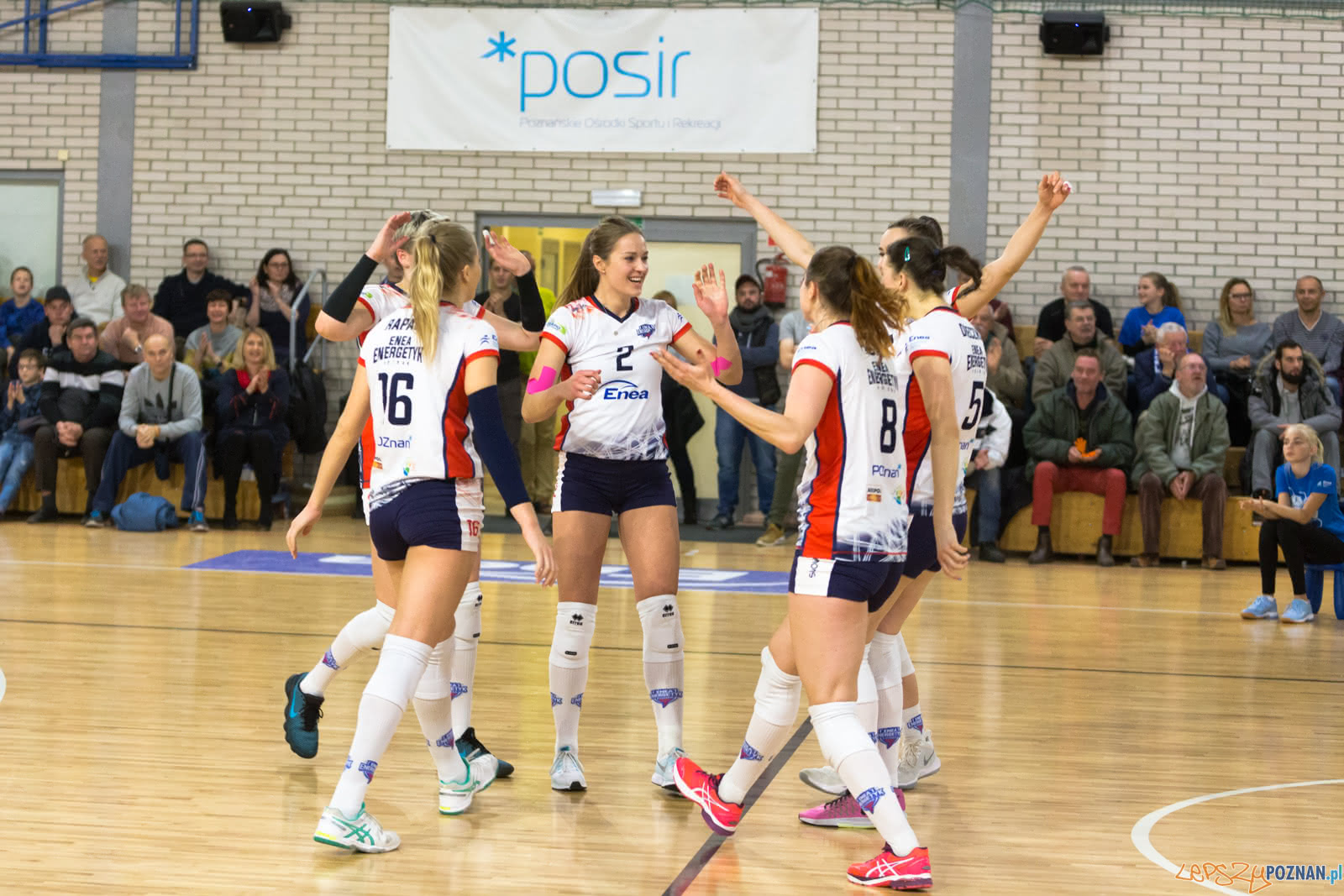 Enea Energetyk Poznań - Grupa Azoty PWSZ Tarnów Foto: lepszyPOZNAN.pl/Piotr Rychter Enea Energetyk Poznań - Grupa Azoty PWSZ Tarnów Foto: lepszyPOZNAN.pl/Piotr Rychter