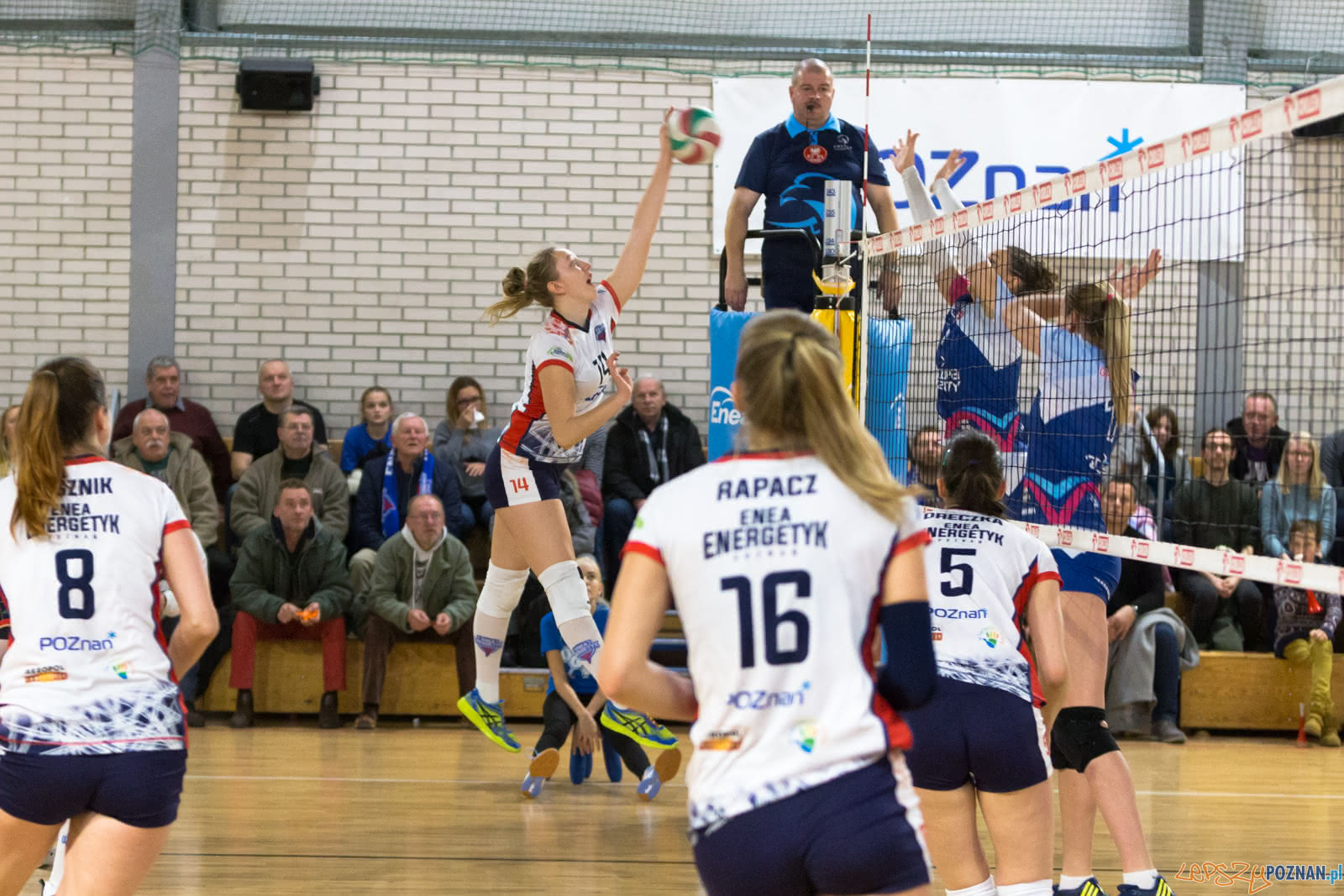 Enea Energetyk Poznań - Grupa Azoty PWSZ Tarnów Foto: lepszyPOZNAN.pl/Piotr Rychter Enea Energetyk Poznań - Grupa Azoty PWSZ Tarnów Foto: lepszyPOZNAN.pl/Piotr Rychter