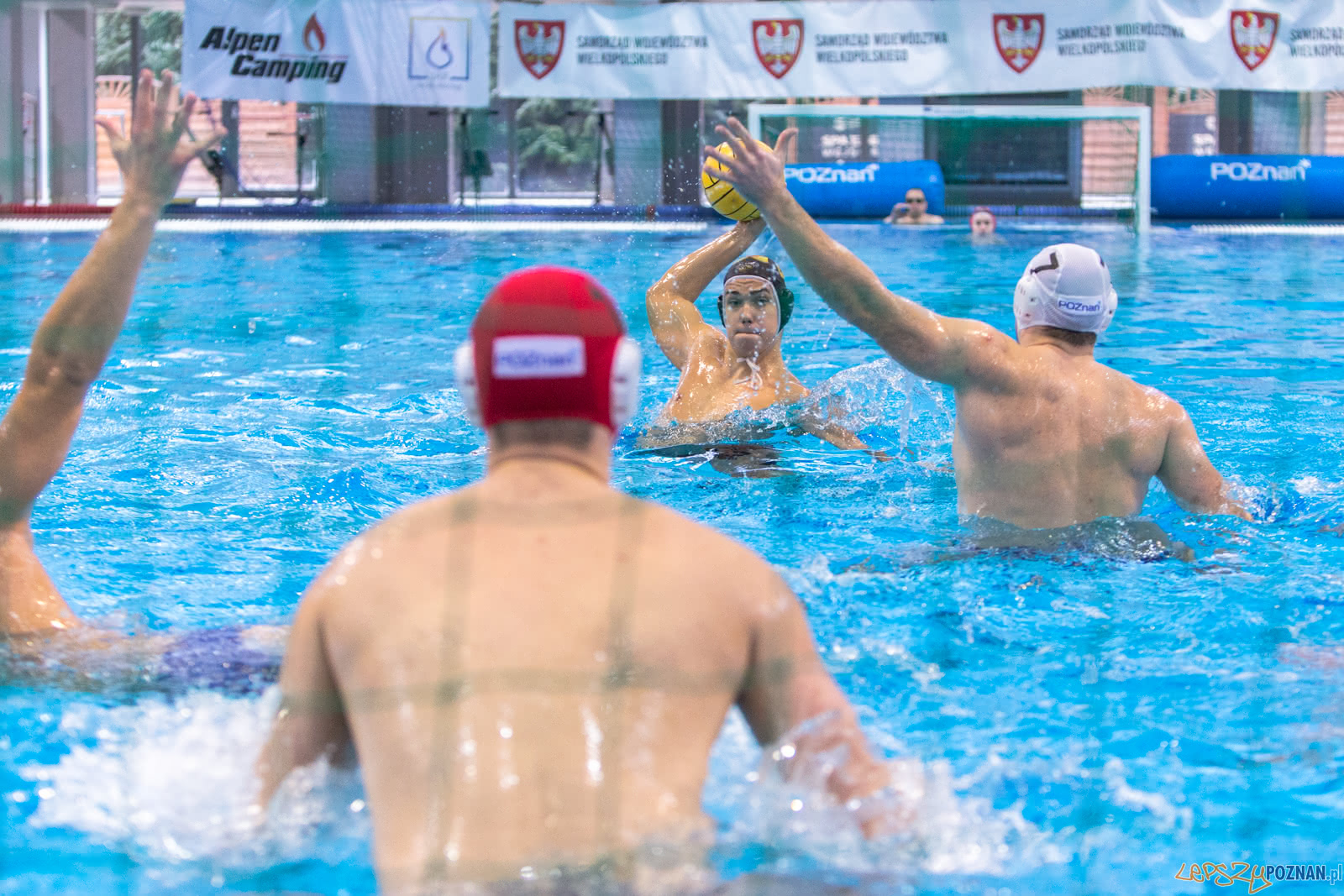 KS Waterpolo Poznań – Hornets Koszyce - Malta Waterpolo Cup - Foto: LepszyPOZNAN.pl / Paweł Rychter KS Waterpolo Poznań – Hornets Koszyce - Malta Waterpolo Cup - Foto: LepszyPOZNAN.pl / Paweł Rychter