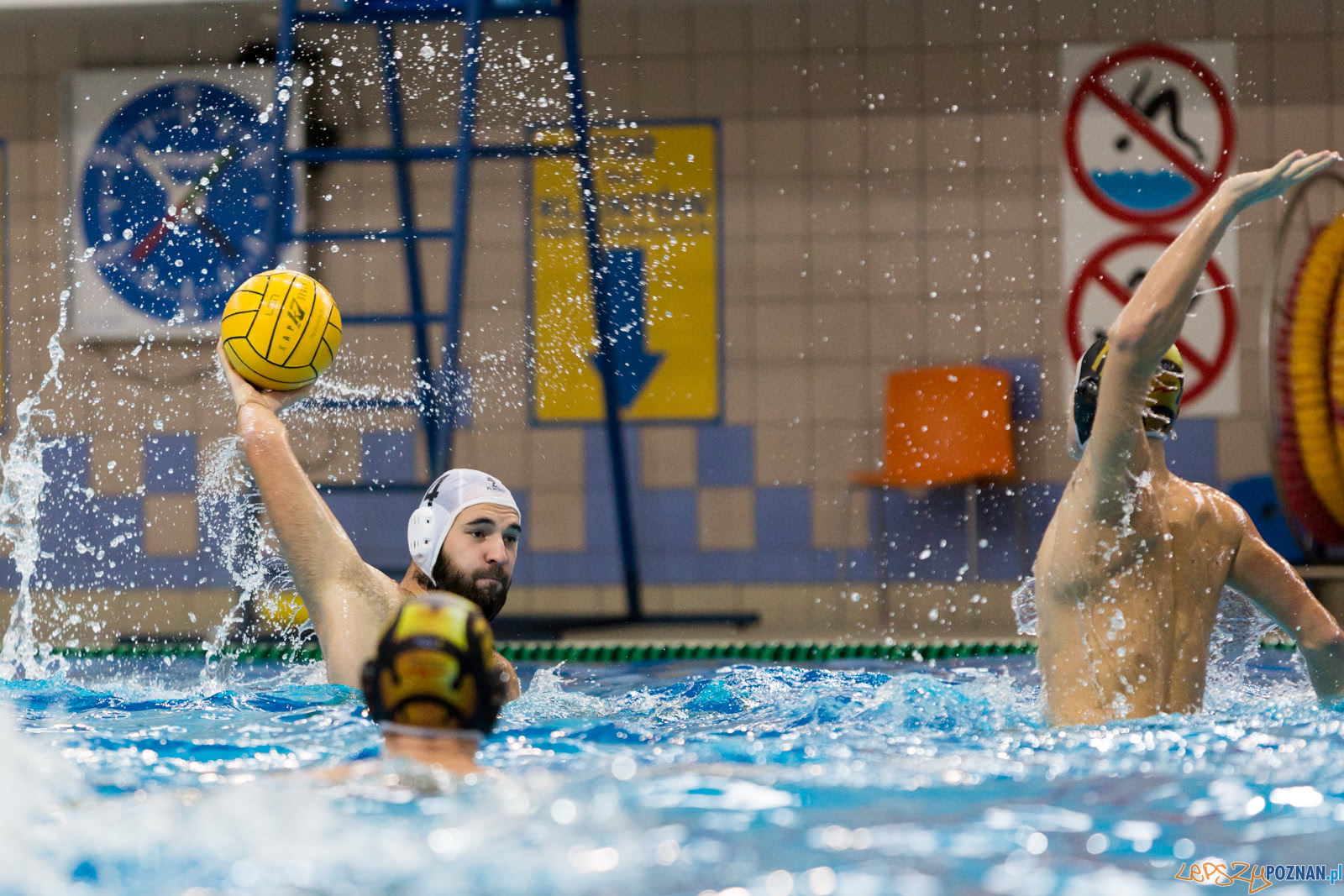 Malta Waterpolo Cup Foto: lepszyPOZNAN.pl/Piotr Rychter Malta Waterpolo Cup Foto: lepszyPOZNAN.pl/Piotr Rychter
