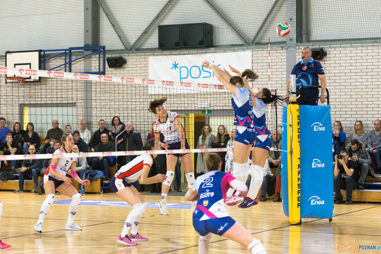 Enea Energetyk Poznań - Grupa Azoty PWSZ Tarnów Foto: lepszyPOZNAN.pl/Piotr Rychter Enea Energetyk Poznań - Grupa Azoty PWSZ Tarnów Foto: lepszyPOZNAN.pl/Piotr Rychter