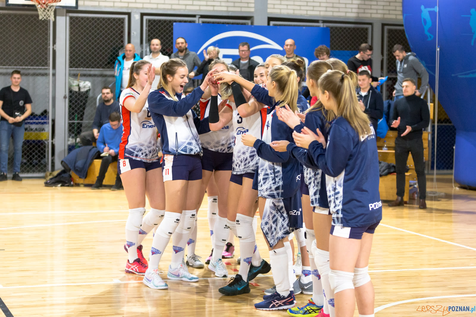 Enea Energetyk Poznań - Grupa Azoty PWSZ Tarnów Foto: lepszyPOZNAN.pl/Piotr Rychter Enea Energetyk Poznań - Grupa Azoty PWSZ Tarnów Foto: lepszyPOZNAN.pl/Piotr Rychter