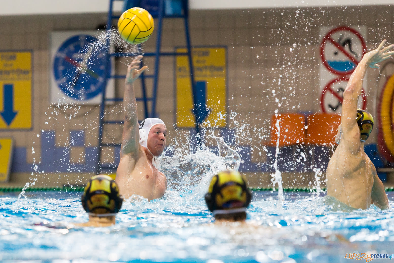 Malta Waterpolo Cup Foto: lepszyPOZNAN.pl/Piotr Rychter Malta Waterpolo Cup Foto: lepszyPOZNAN.pl/Piotr Rychter