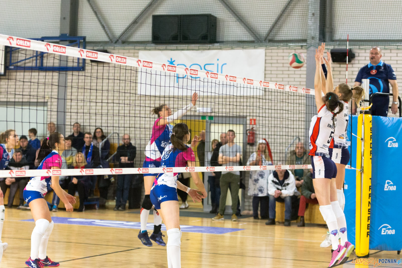 Enea Energetyk Poznań - Grupa Azoty PWSZ Tarnów Foto: lepszyPOZNAN.pl/Piotr Rychter Enea Energetyk Poznań - Grupa Azoty PWSZ Tarnów Foto: lepszyPOZNAN.pl/Piotr Rychter