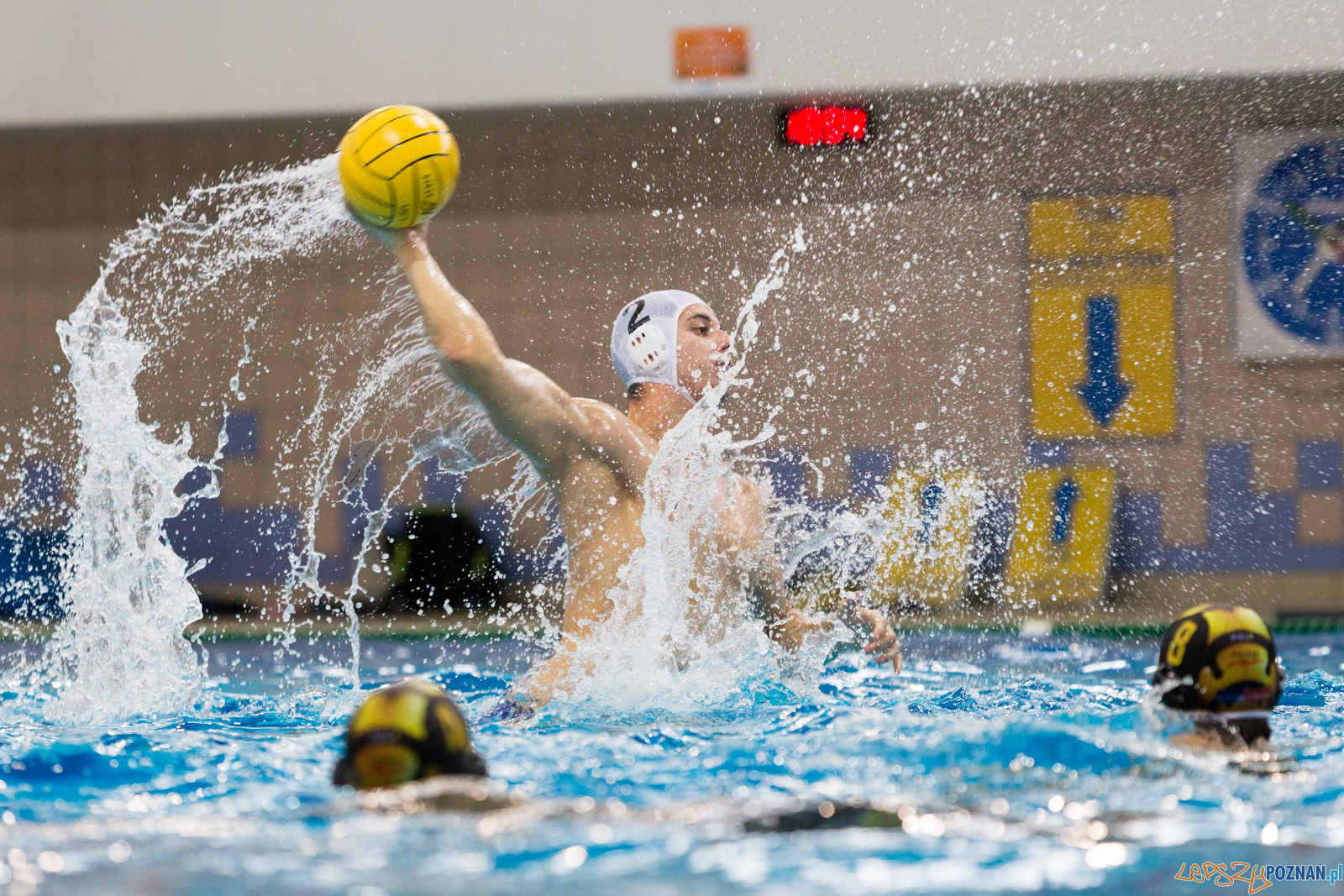 Malta Waterpolo Cup Foto: lepszyPOZNAN.pl/Piotr Rychter Malta Waterpolo Cup Foto: lepszyPOZNAN.pl/Piotr Rychter
