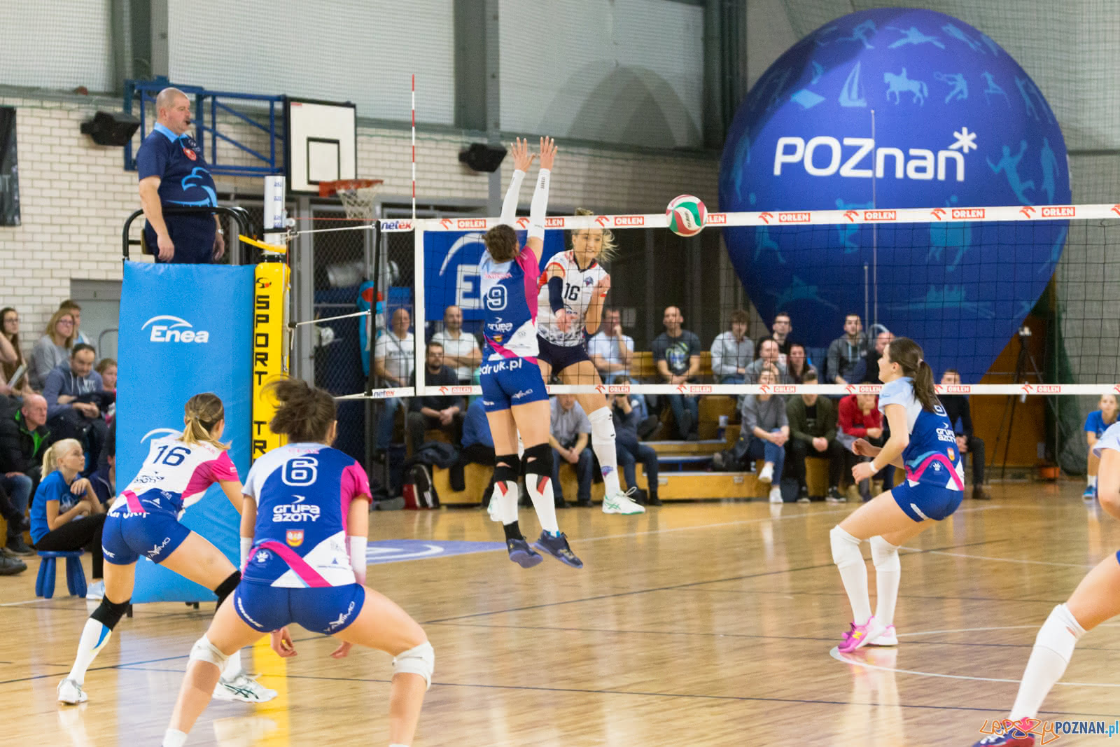 Enea Energetyk Poznań - Grupa Azoty PWSZ Tarnów Foto: lepszyPOZNAN.pl/Piotr Rychter Enea Energetyk Poznań - Grupa Azoty PWSZ Tarnów Foto: lepszyPOZNAN.pl/Piotr Rychter