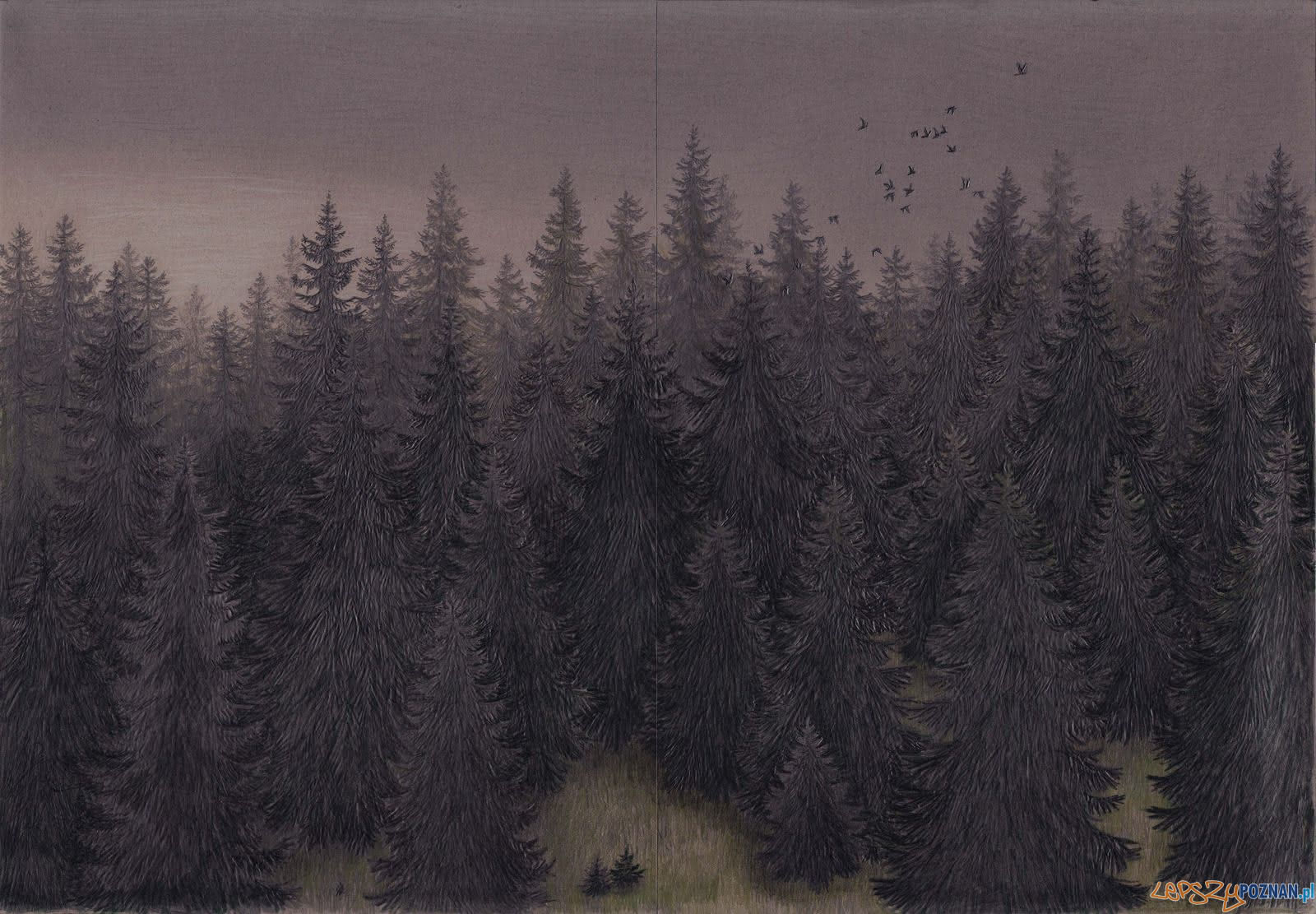 Joanna Concejo - las po wszystkim Foto: materiały UAM Joanna Concejo - las po wszystkim Foto: materiały UAM