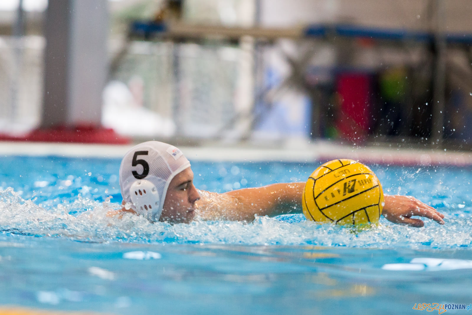 Malta Waterpolo Cup Foto: lepszyPOZNAN.pl/Piotr Rychter Malta Waterpolo Cup Foto: lepszyPOZNAN.pl/Piotr Rychter