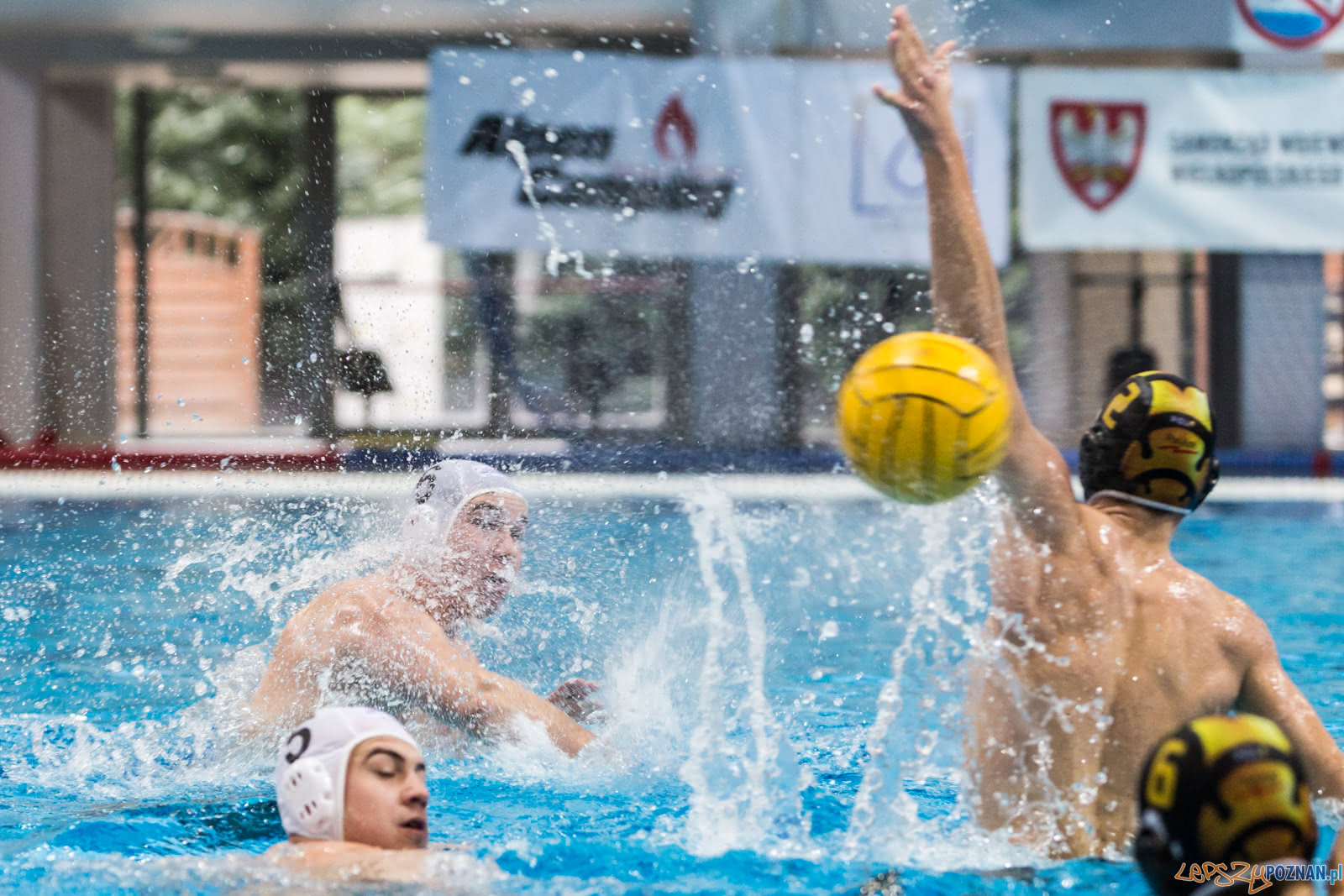 Malta Waterpolo Cup Foto: lepszyPOZNAN.pl/Piotr Rychter Malta Waterpolo Cup Foto: lepszyPOZNAN.pl/Piotr Rychter