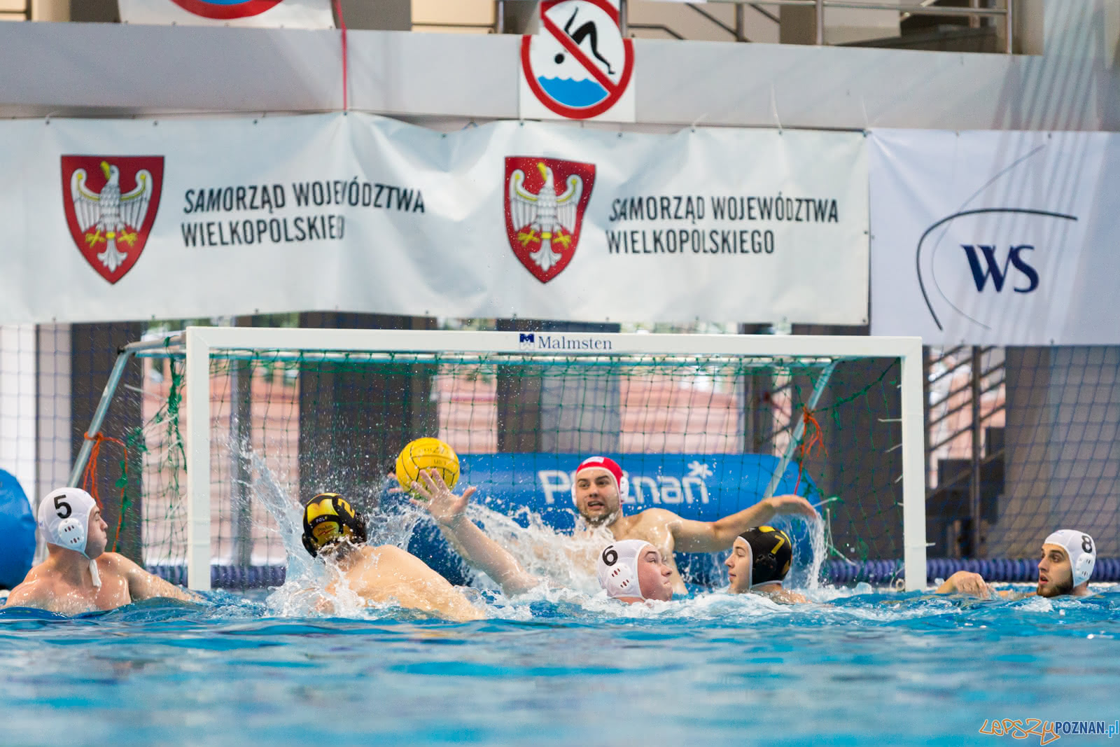 Malta Waterpolo Cup Foto: lepszyPOZNAN.pl/Piotr Rychter Malta Waterpolo Cup Foto: lepszyPOZNAN.pl/Piotr Rychter