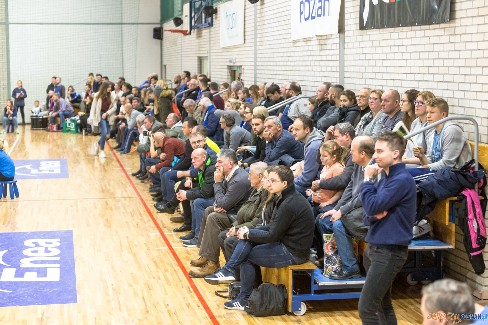 Enea Energetyk Poznań - Grupa Azoty PWSZ Tarnów Foto: lepszyPOZNAN.pl/Piotr Rychter Enea Energetyk Poznań - Grupa Azoty PWSZ Tarnów Foto: lepszyPOZNAN.pl/Piotr Rychter