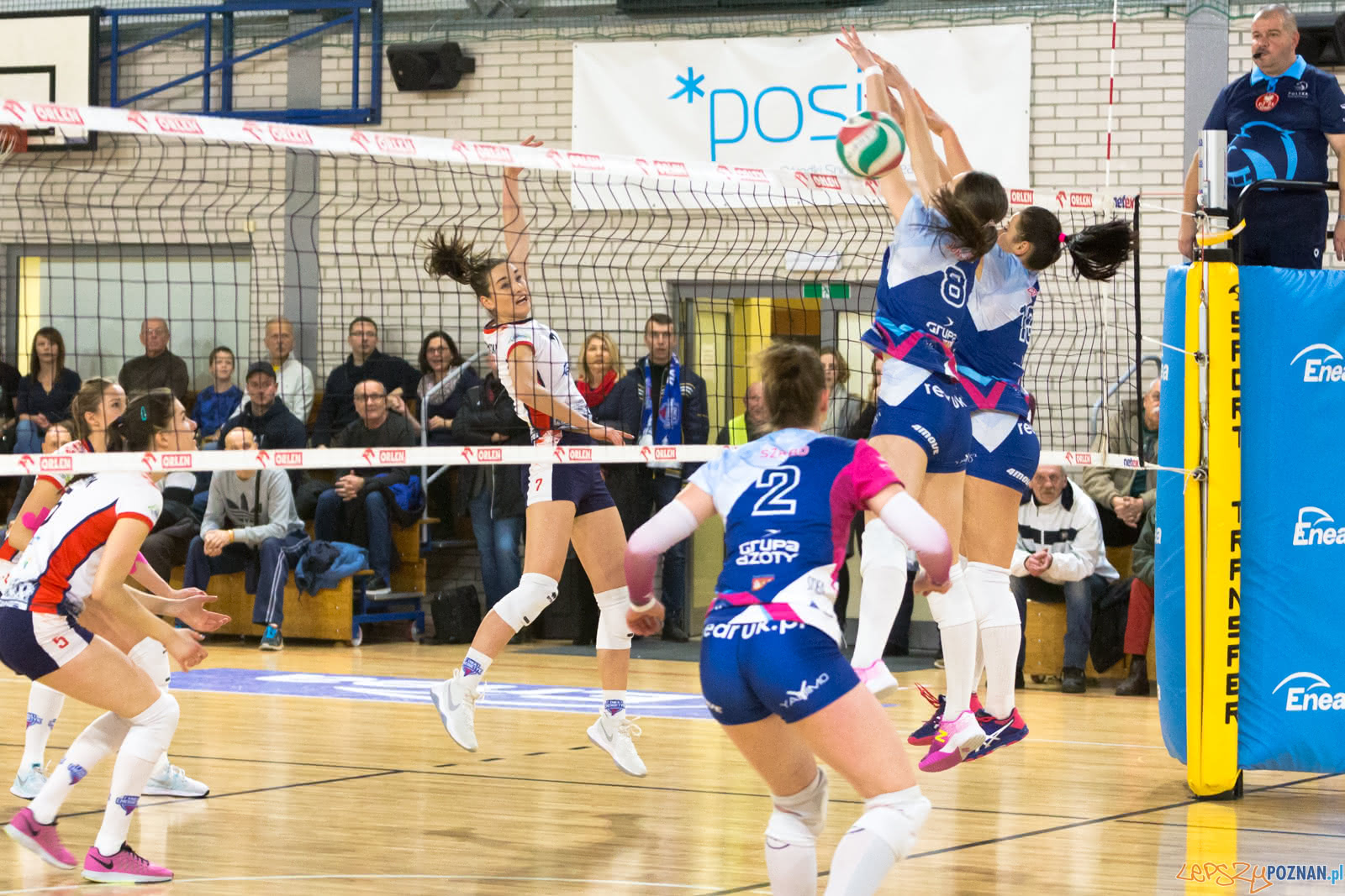 Enea Energetyk Poznań - Grupa Azoty PWSZ Tarnów Foto: lepszyPOZNAN.pl/Piotr Rychter Enea Energetyk Poznań - Grupa Azoty PWSZ Tarnów Foto: lepszyPOZNAN.pl/Piotr Rychter