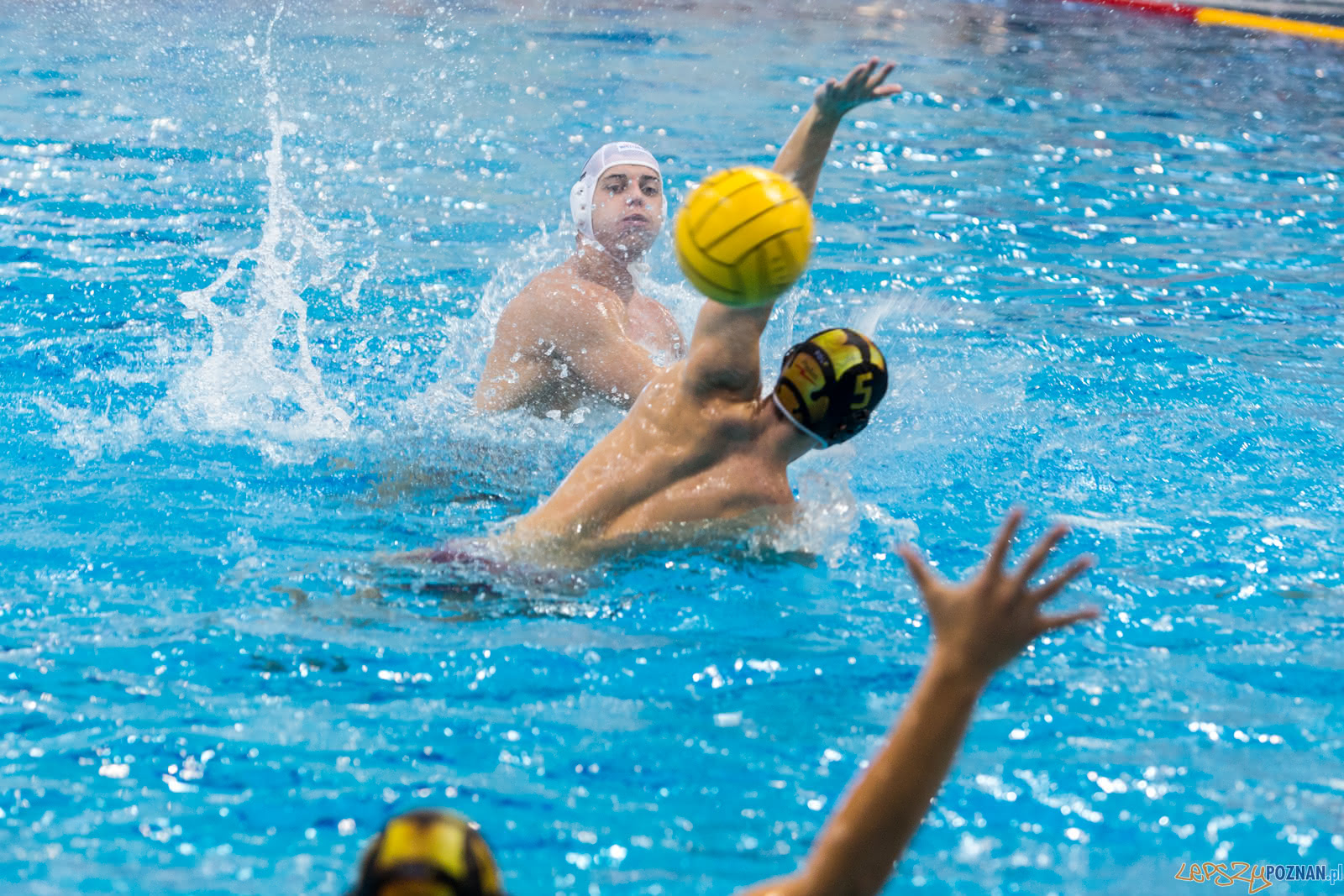 Malta Waterpolo Cup Foto: lepszyPOZNAN.pl/Piotr Rychter Malta Waterpolo Cup Foto: lepszyPOZNAN.pl/Piotr Rychter