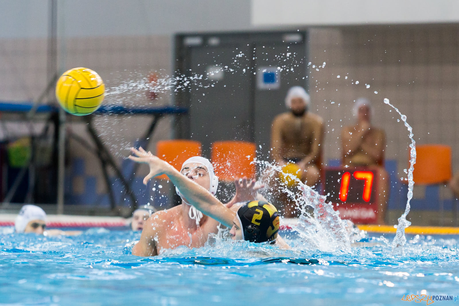 Malta Waterpolo Cup Foto: lepszyPOZNAN.pl/Piotr Rychter Malta Waterpolo Cup Foto: lepszyPOZNAN.pl/Piotr Rychter
