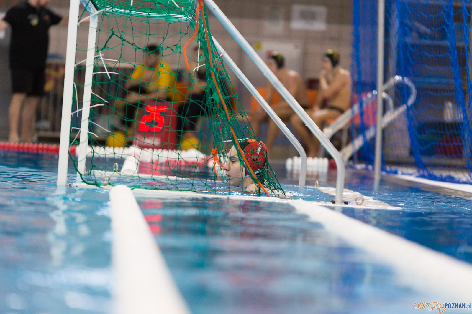 Malta Waterpolo Cup Foto: lepszyPOZNAN.pl/Piotr Rychter Malta Waterpolo Cup Foto: lepszyPOZNAN.pl/Piotr Rychter