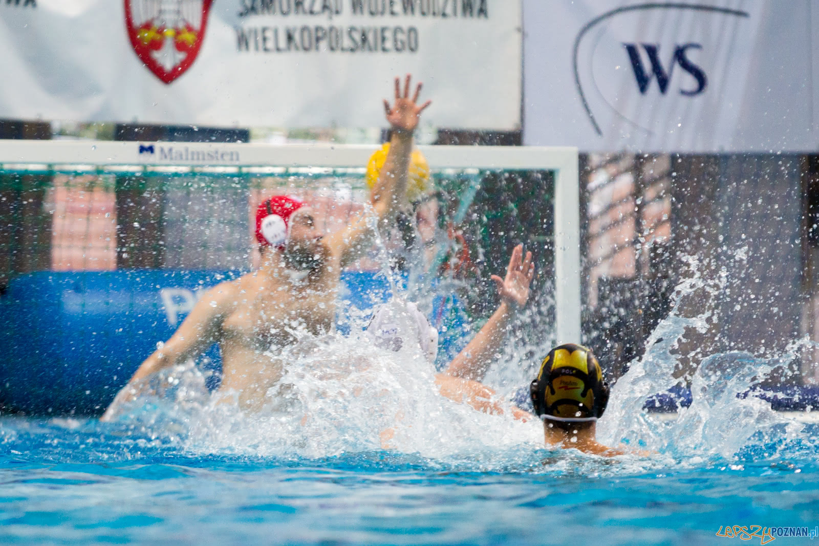 Malta Waterpolo Cup Foto: lepszyPOZNAN.pl/Piotr Rychter Malta Waterpolo Cup Foto: lepszyPOZNAN.pl/Piotr Rychter