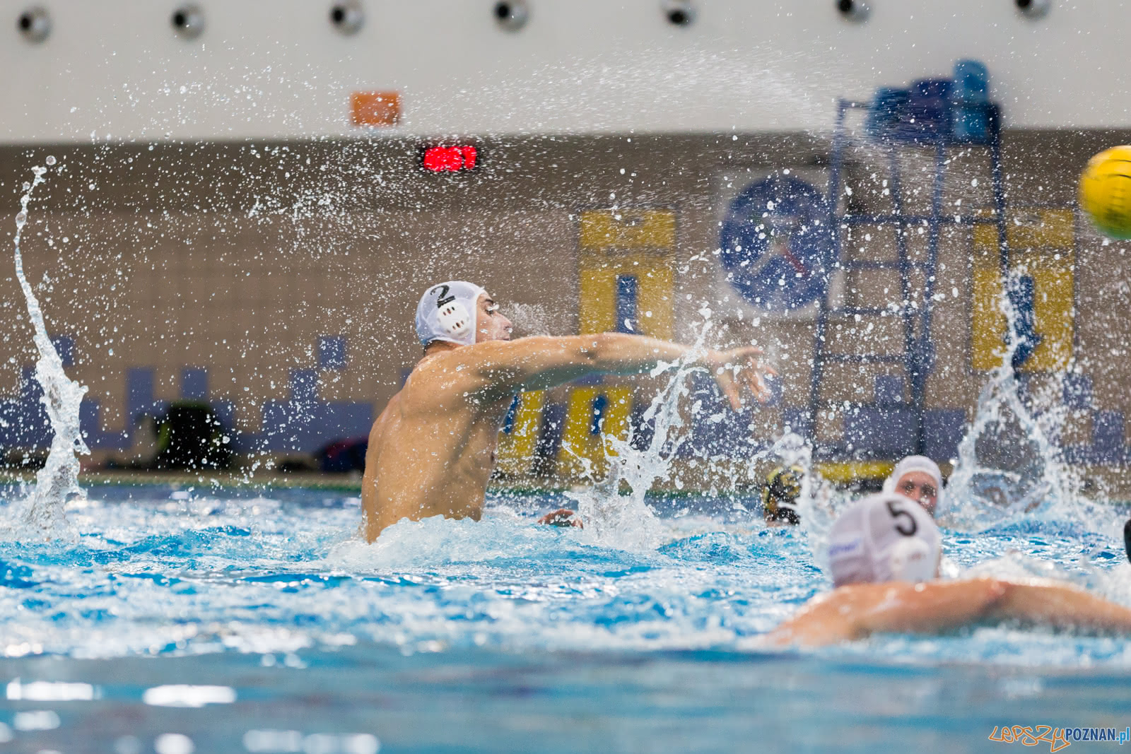 Malta Waterpolo Cup Foto: lepszyPOZNAN.pl/Piotr Rychter Malta Waterpolo Cup Foto: lepszyPOZNAN.pl/Piotr Rychter