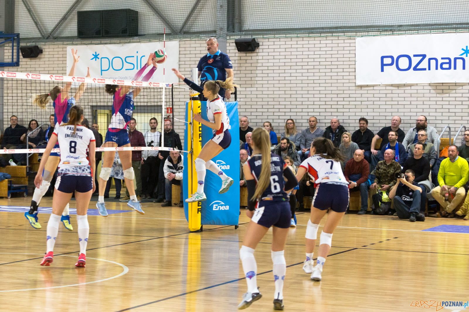 Enea Energetyk Poznań - Grupa Azoty PWSZ Tarnów Foto: lepszyPOZNAN.pl/Piotr Rychter Enea Energetyk Poznań - Grupa Azoty PWSZ Tarnów Foto: lepszyPOZNAN.pl/Piotr Rychter