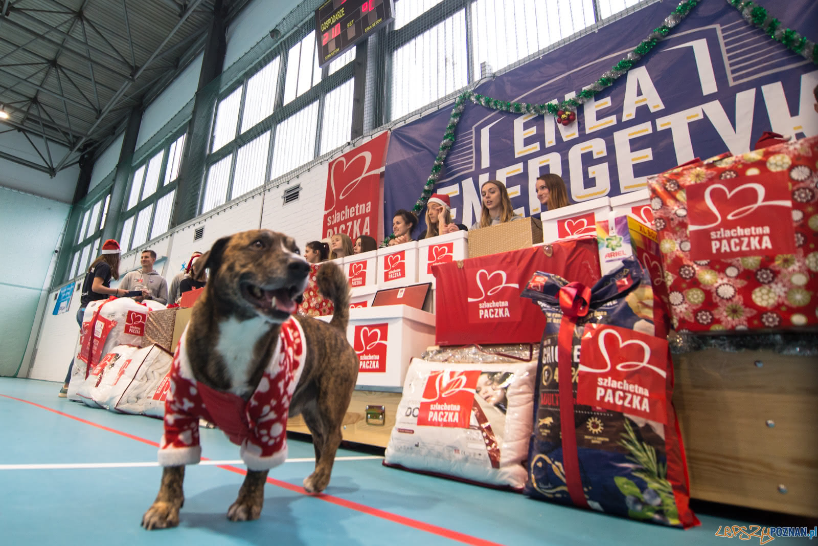 Enea Energetyk - Szlachetna Paczka Foto: lepszyPOZNAN.pl/Piotr Rychter Enea Energetyk - Szlachetna Paczka Foto: lepszyPOZNAN.pl/Piotr Rychter