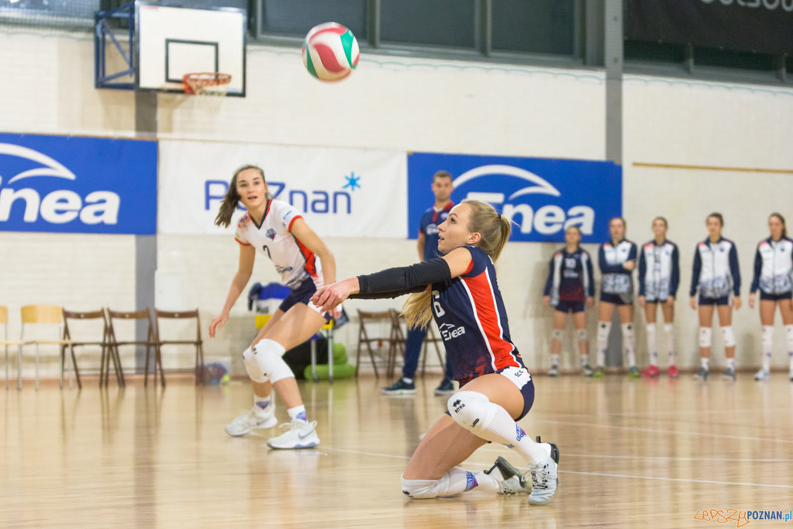 Enea Energetyk Poznań - Grupa Azoty PWSZ Tarnów Foto: lepszyPOZNAN.pl/Piotr Rychter Enea Energetyk Poznań - Grupa Azoty PWSZ Tarnów Foto: lepszyPOZNAN.pl/Piotr Rychter